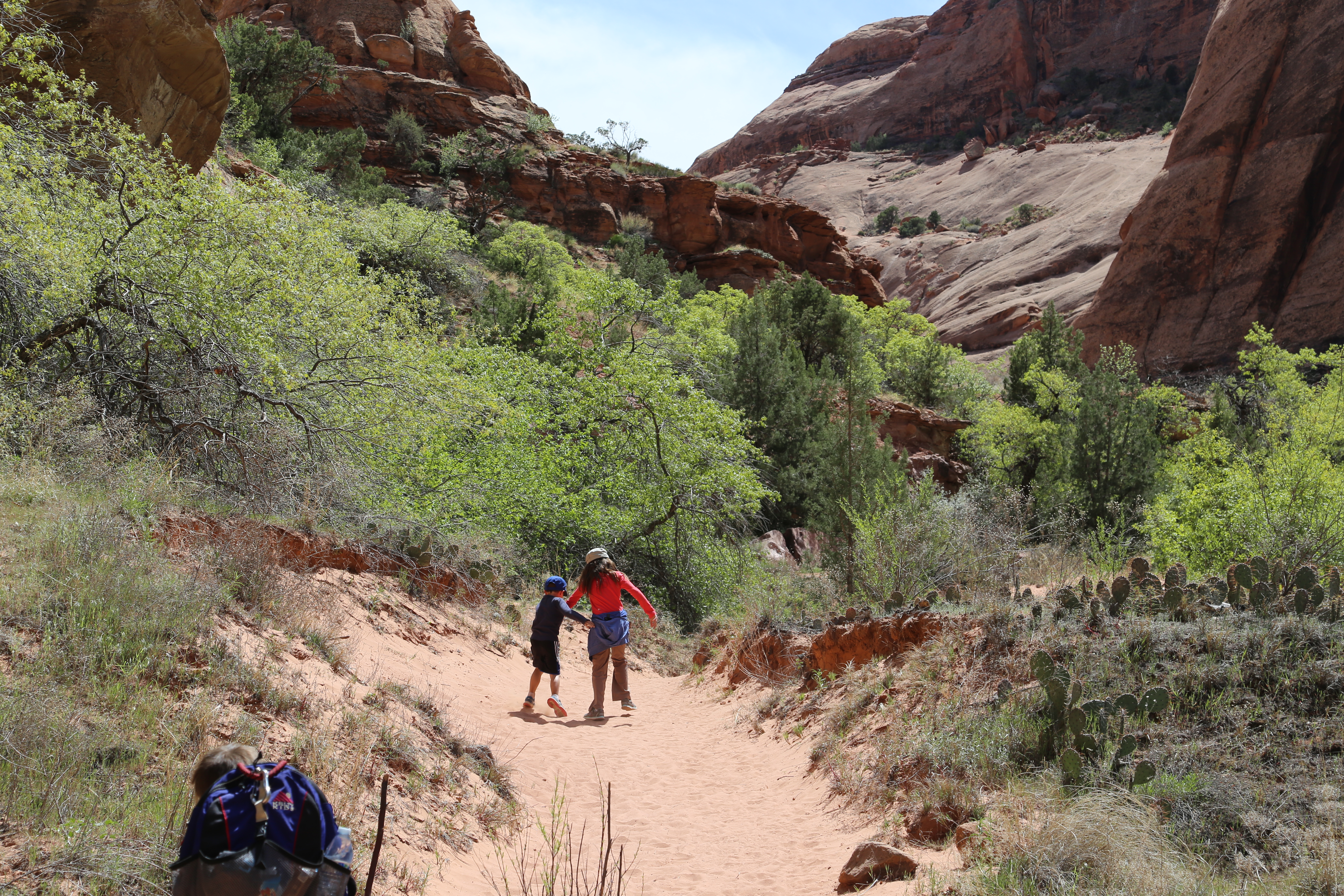 2015 Spring Break - Moab - Morning Glory Bridge (Negro Bill Canyon Trail)