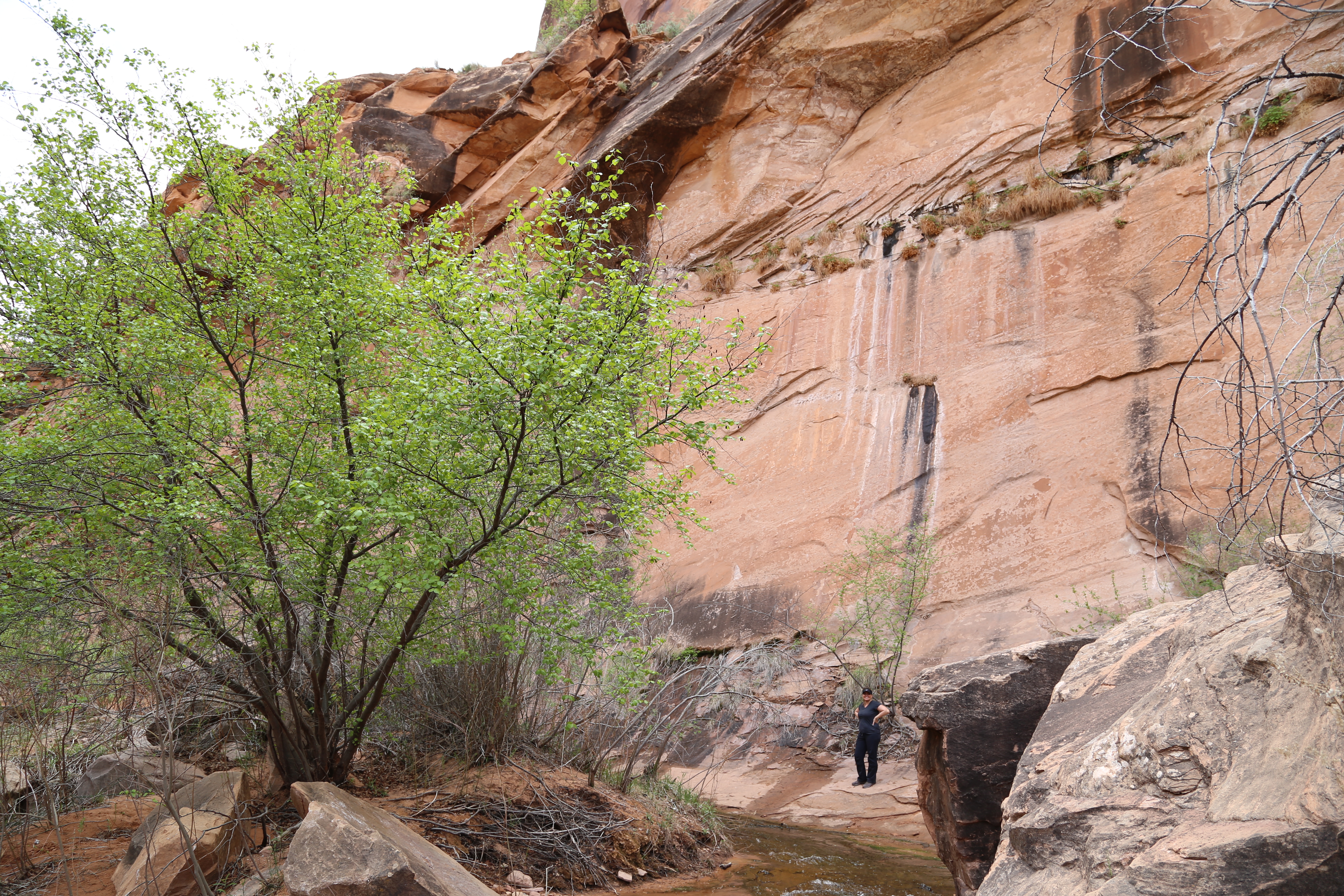 2015 Spring Break - Moab - Morning Glory Bridge (Negro Bill Canyon Trail)