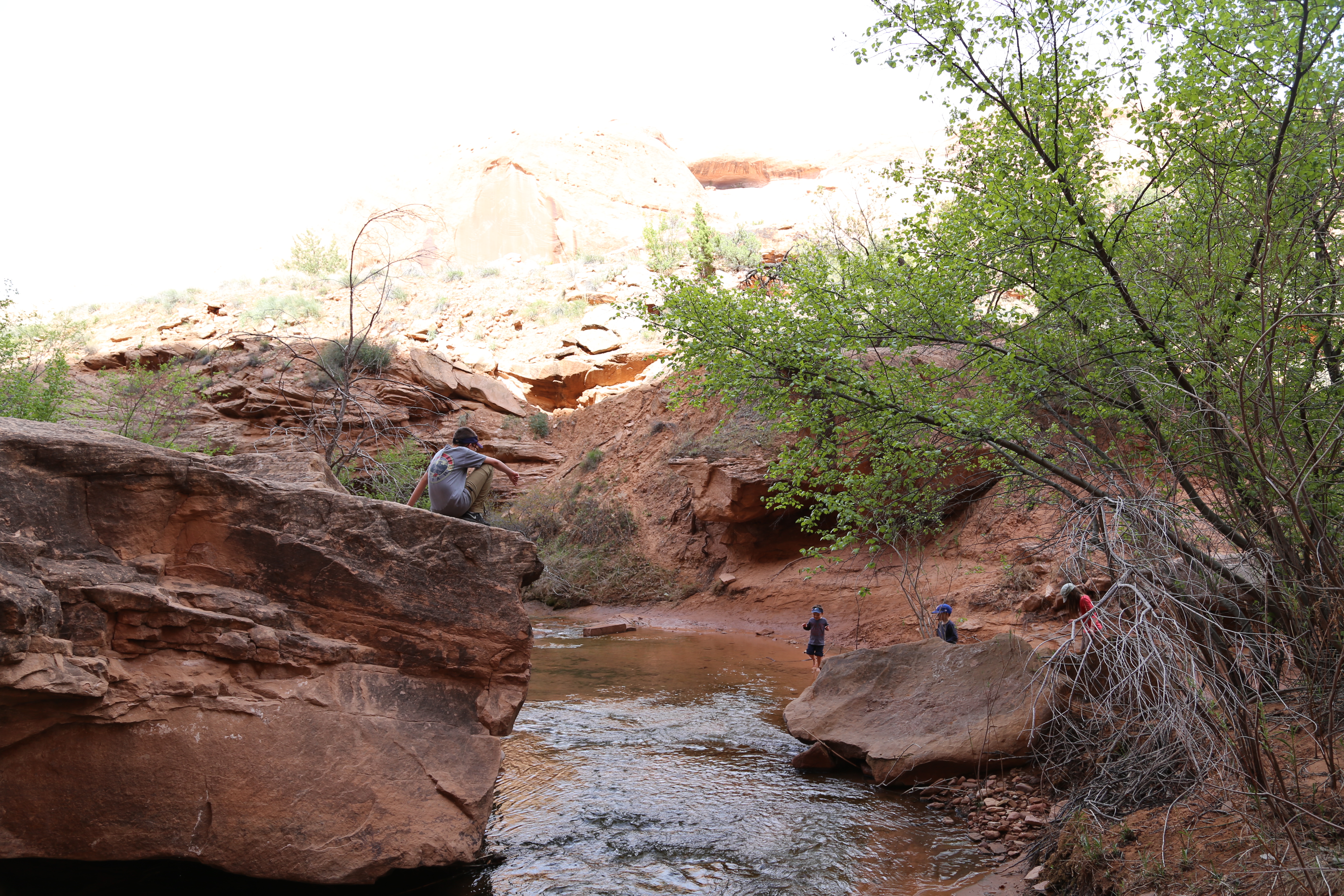 2015 Spring Break - Moab - Morning Glory Bridge (Negro Bill Canyon Trail)