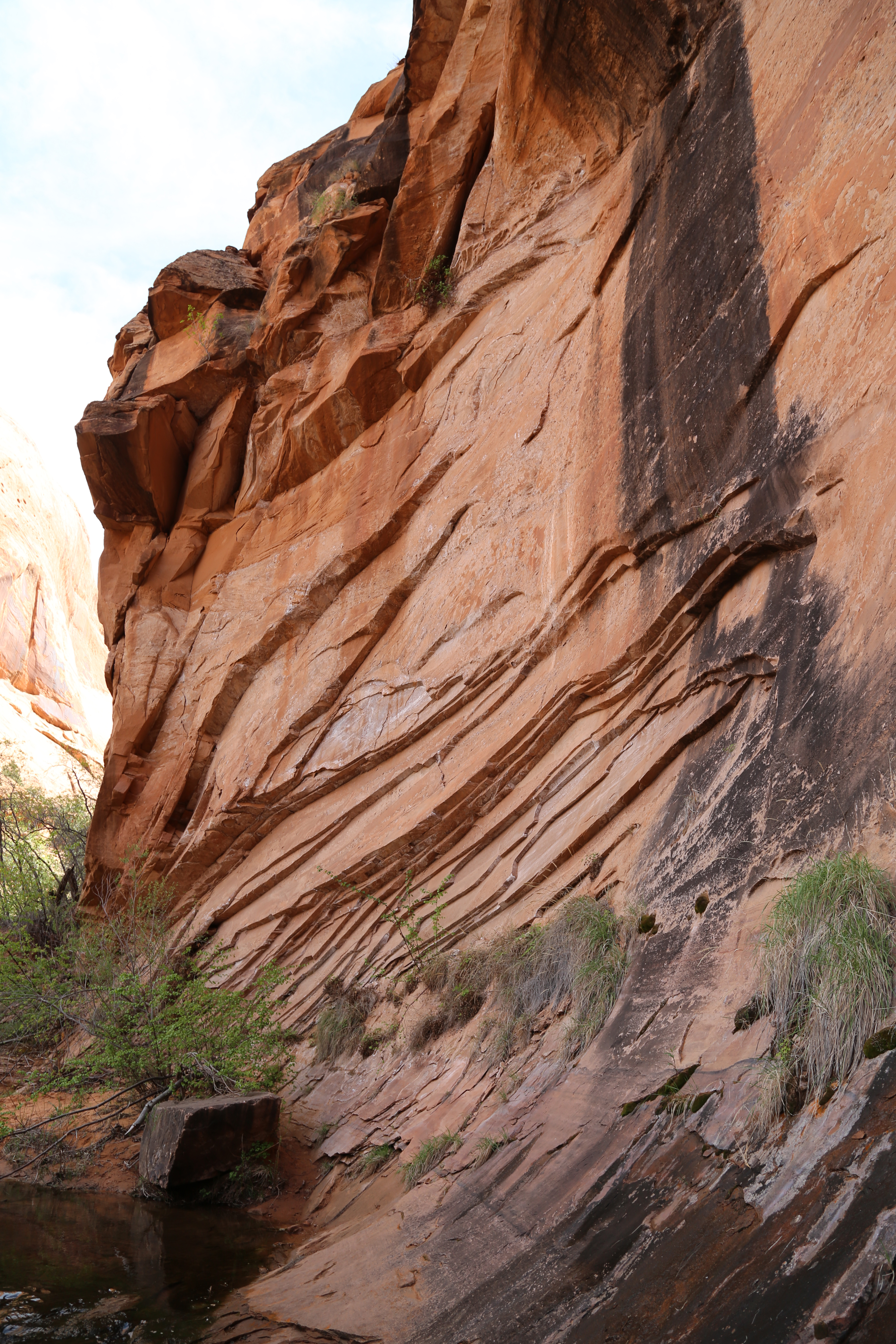 2015 Spring Break - Moab - Morning Glory Bridge (Negro Bill Canyon Trail)