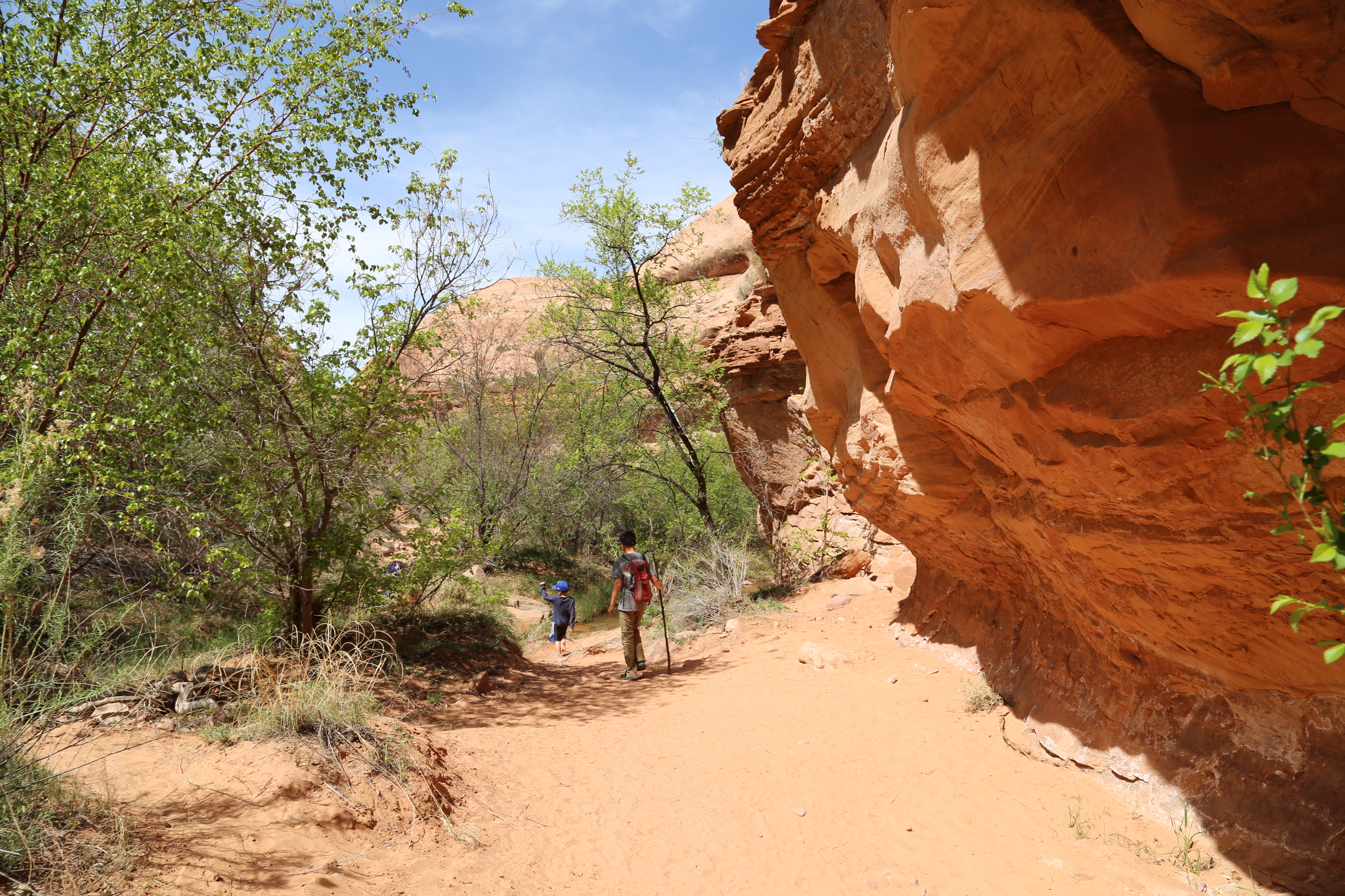 2015 Spring Break - Moab - Morning Glory Bridge (Negro Bill Canyon Trail)