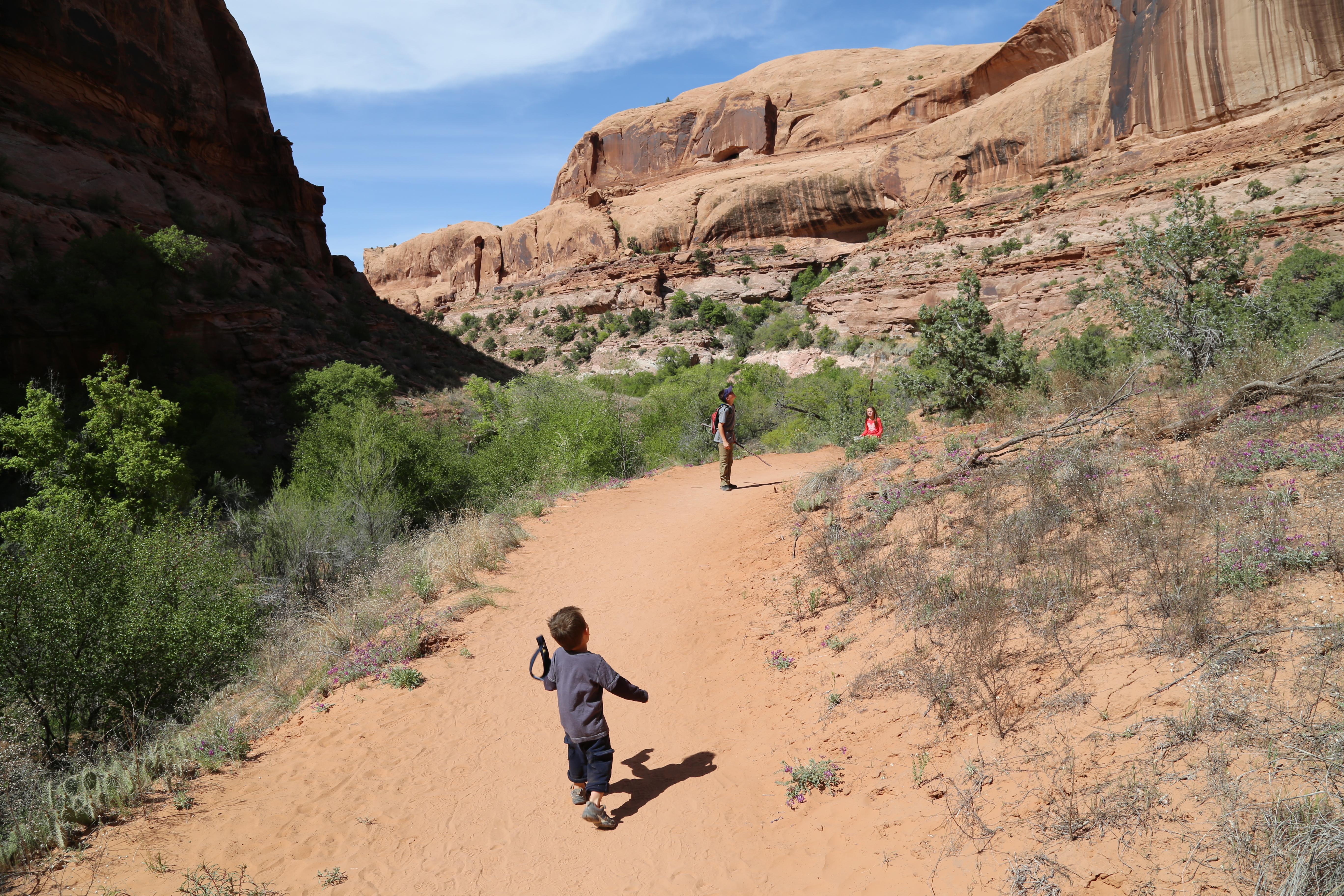 2015 Spring Break - Moab - Morning Glory Bridge (Negro Bill Canyon Trail)