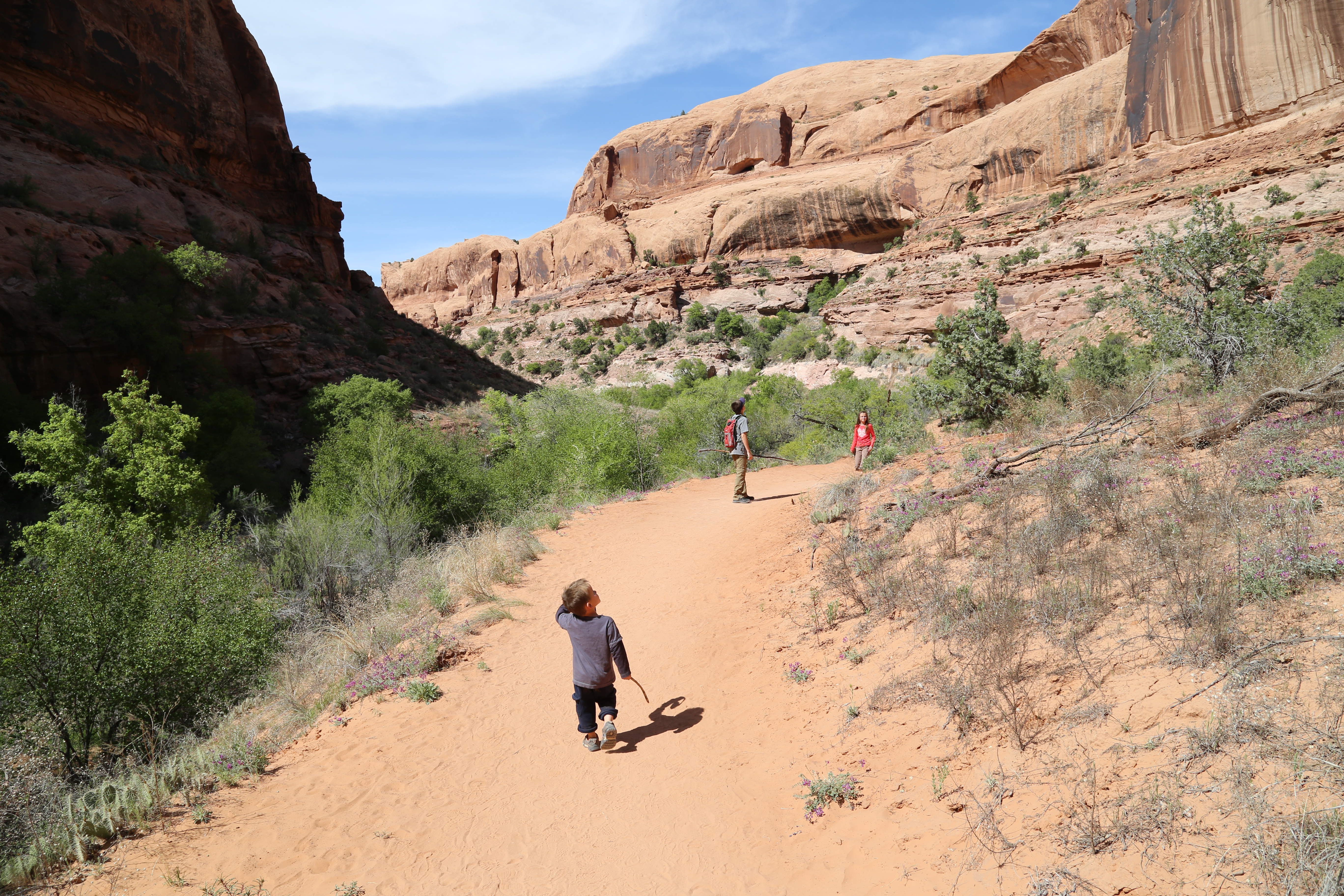 2015 Spring Break - Moab - Morning Glory Bridge (Negro Bill Canyon Trail)