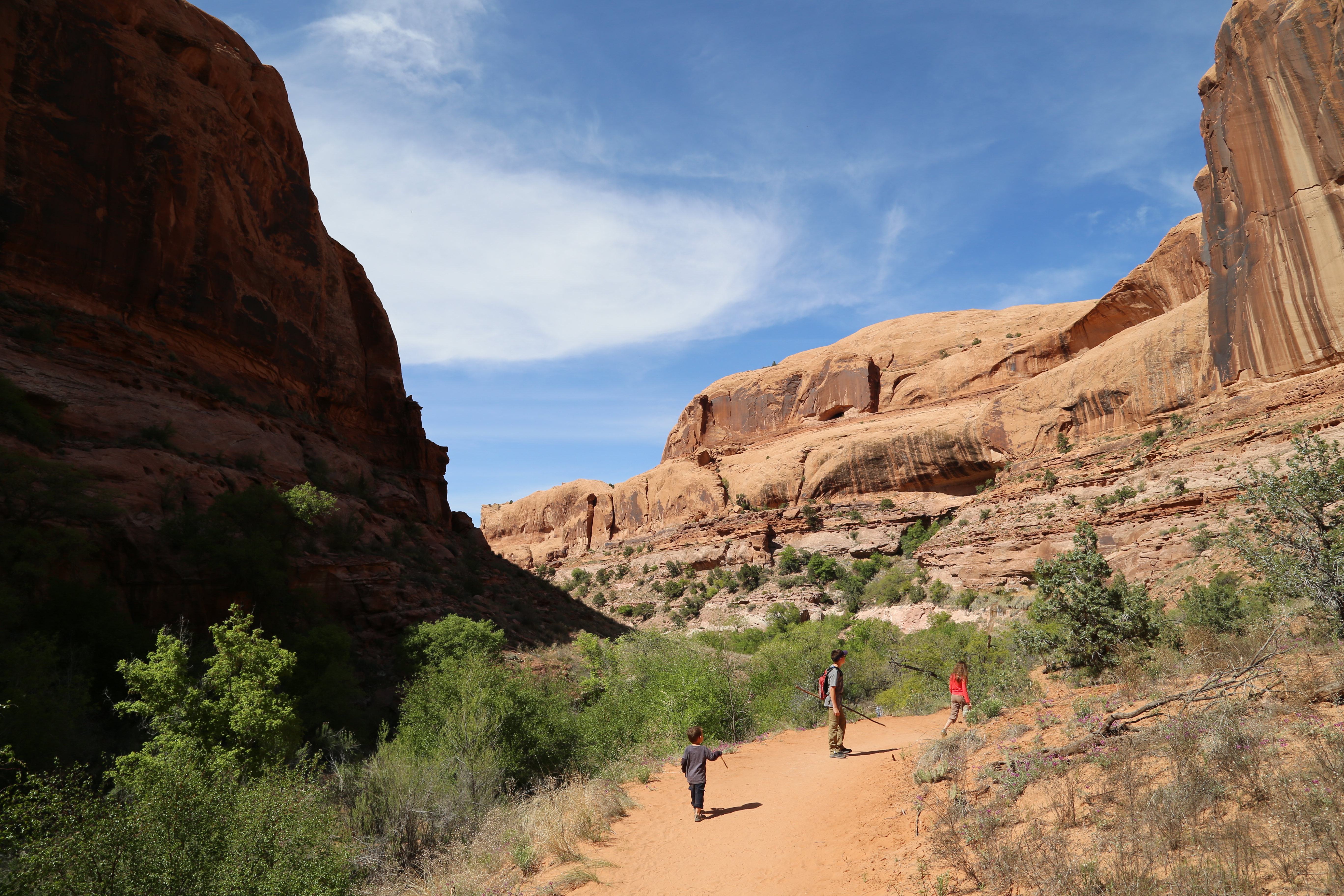 2015 Spring Break - Moab - Morning Glory Bridge (Negro Bill Canyon Trail)