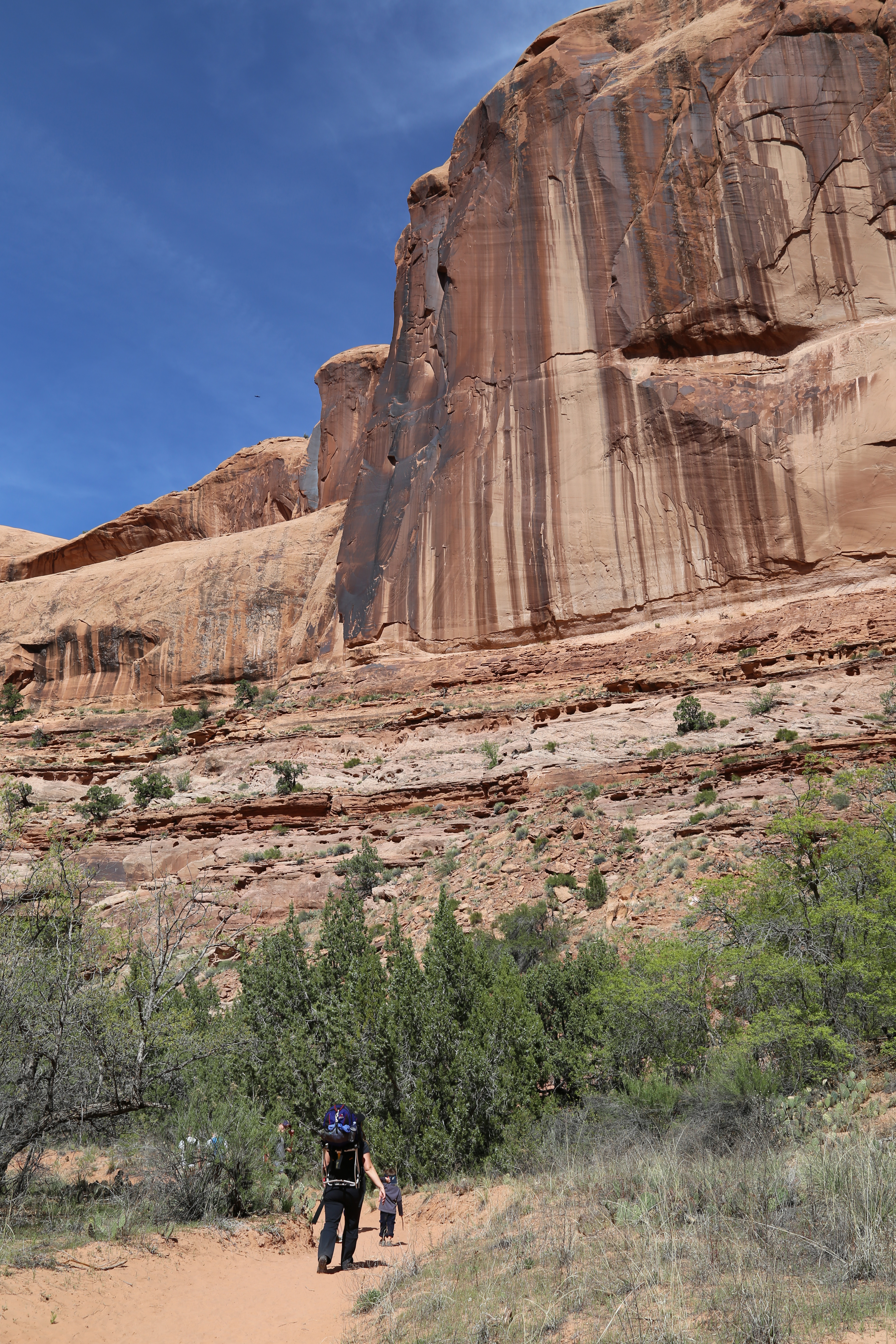 2015 Spring Break - Moab - Morning Glory Bridge (Negro Bill Canyon Trail)