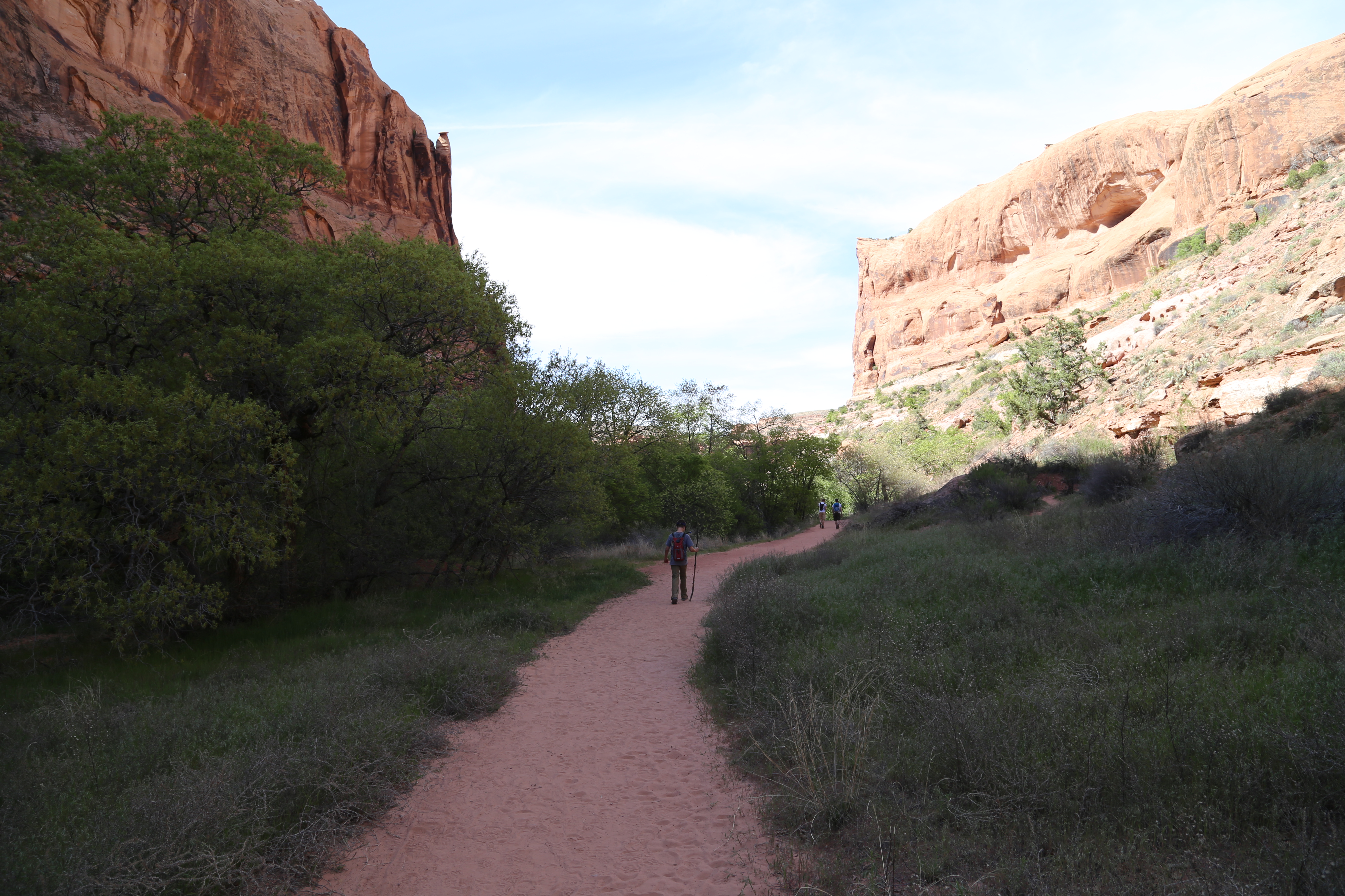 2015 Spring Break - Moab - Morning Glory Bridge (Negro Bill Canyon Trail)