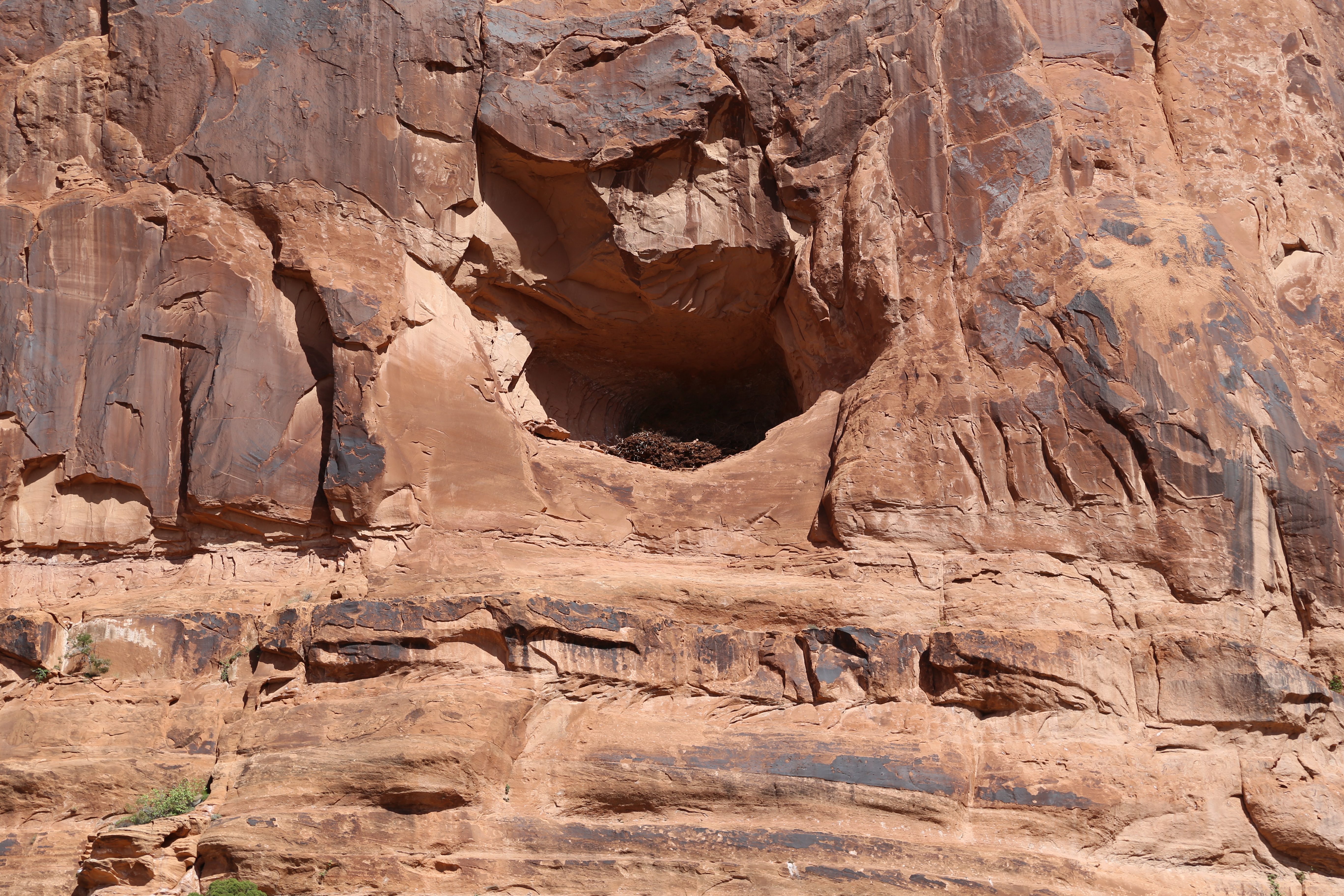 2015 Spring Break - Moab - Morning Glory Bridge (Negro Bill Canyon Trail)