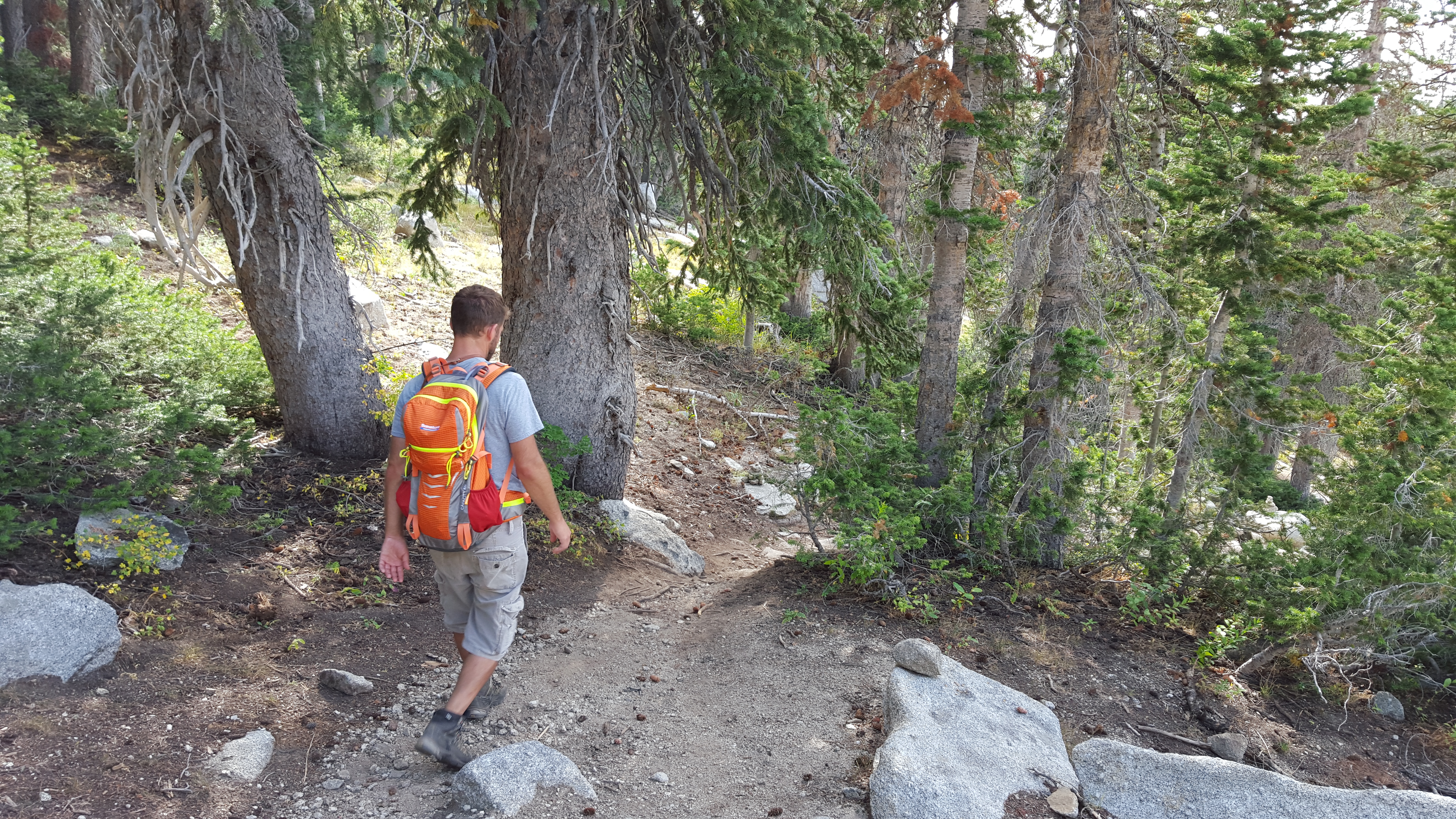 Hiking Northern Utah's Lone Peak Summit via Jacob's Ladder Trailhead (Ghost Falls Trailhead)