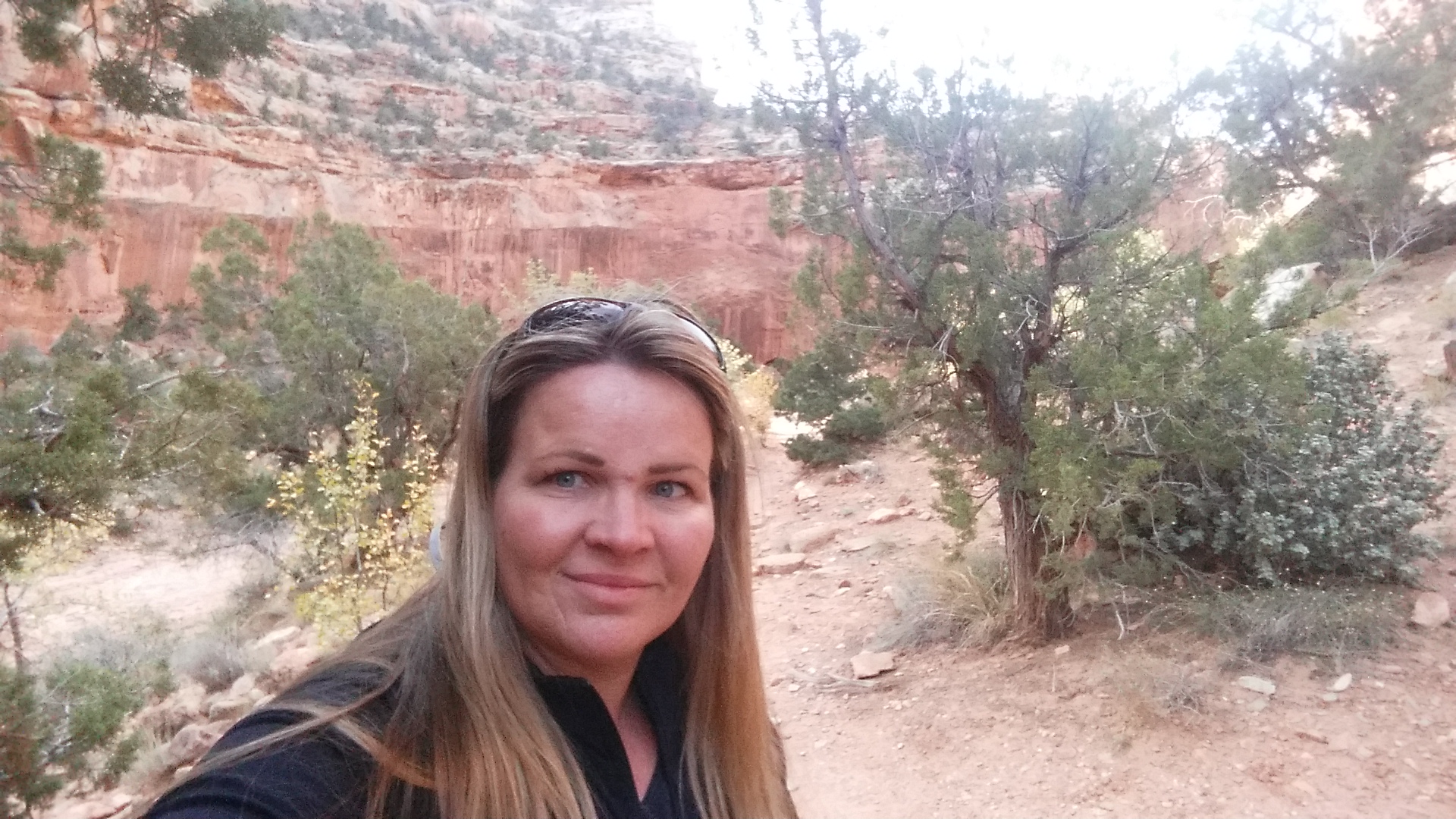 2015 Fall Break - Day 2 - Capitol Reef National Park (Grand Wash Narrows, Capitol Gorge (Petroglyphs, Narrows, Pioneer Register), Waterpocket Fold Drive (Notom-Bullfrog Road, Burr Trail Road), Hell's Backbone Grill (Boulder, Utah))