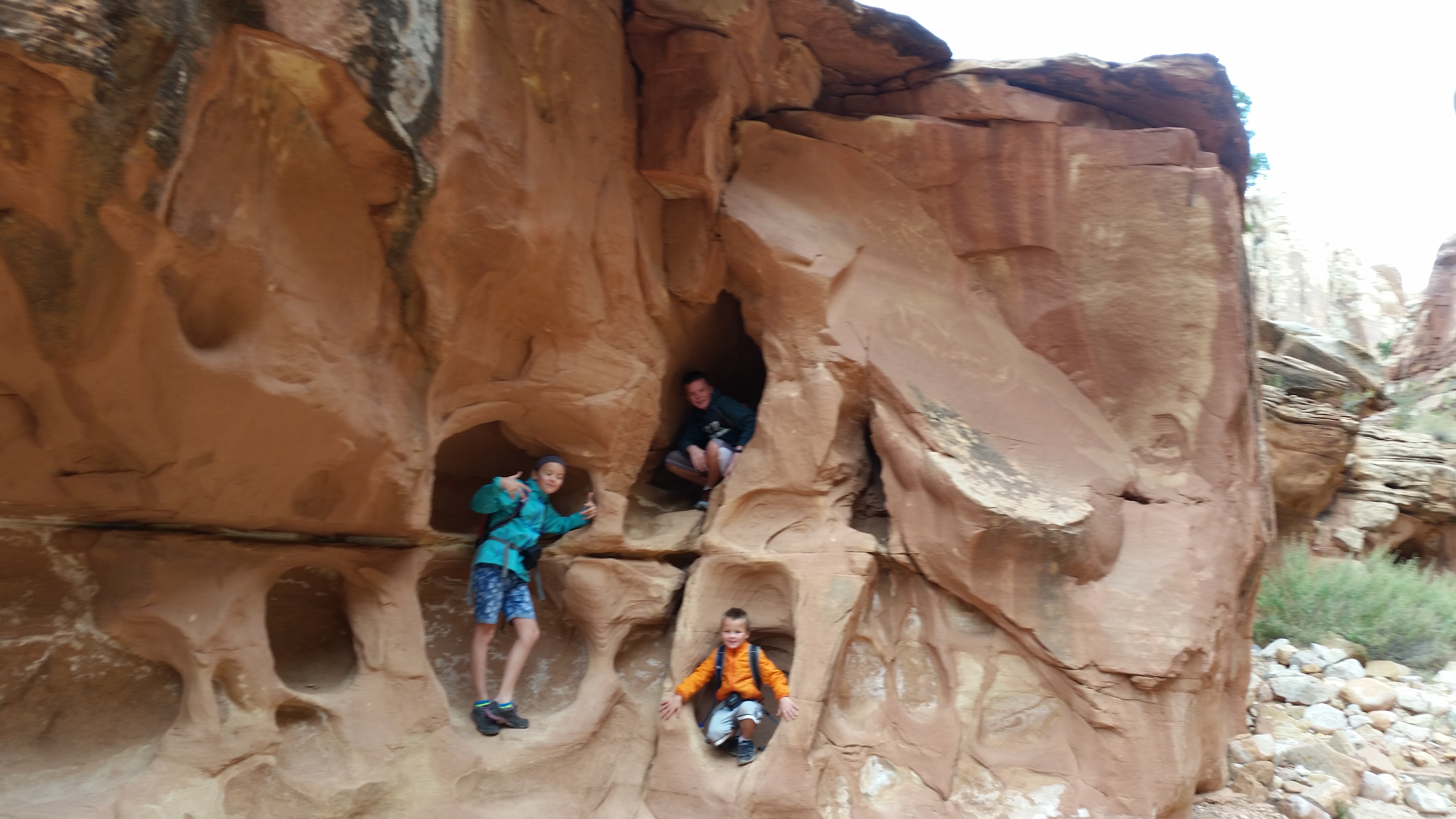 2015 Fall Break - Day 2 - Capitol Reef National Park (Grand Wash Narrows, Capitol Gorge (Petroglyphs, Narrows, Pioneer Register), Waterpocket Fold Drive (Notom-Bullfrog Road, Burr Trail Road), Hell's Backbone Grill (Boulder, Utah))