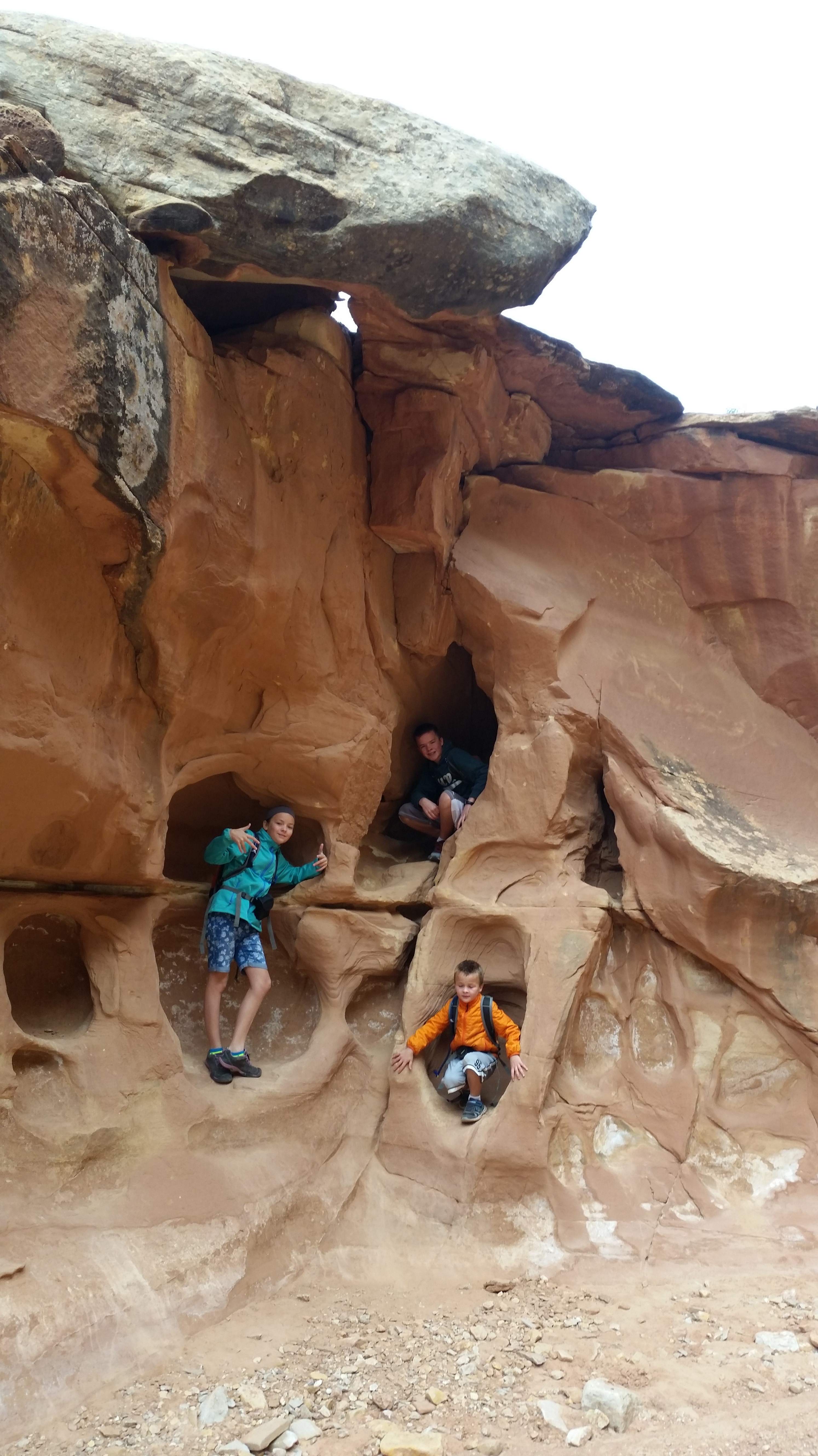 2015 Fall Break - Day 2 - Capitol Reef National Park (Grand Wash Narrows, Capitol Gorge (Petroglyphs, Narrows, Pioneer Register), Waterpocket Fold Drive (Notom-Bullfrog Road, Burr Trail Road), Hell's Backbone Grill (Boulder, Utah))