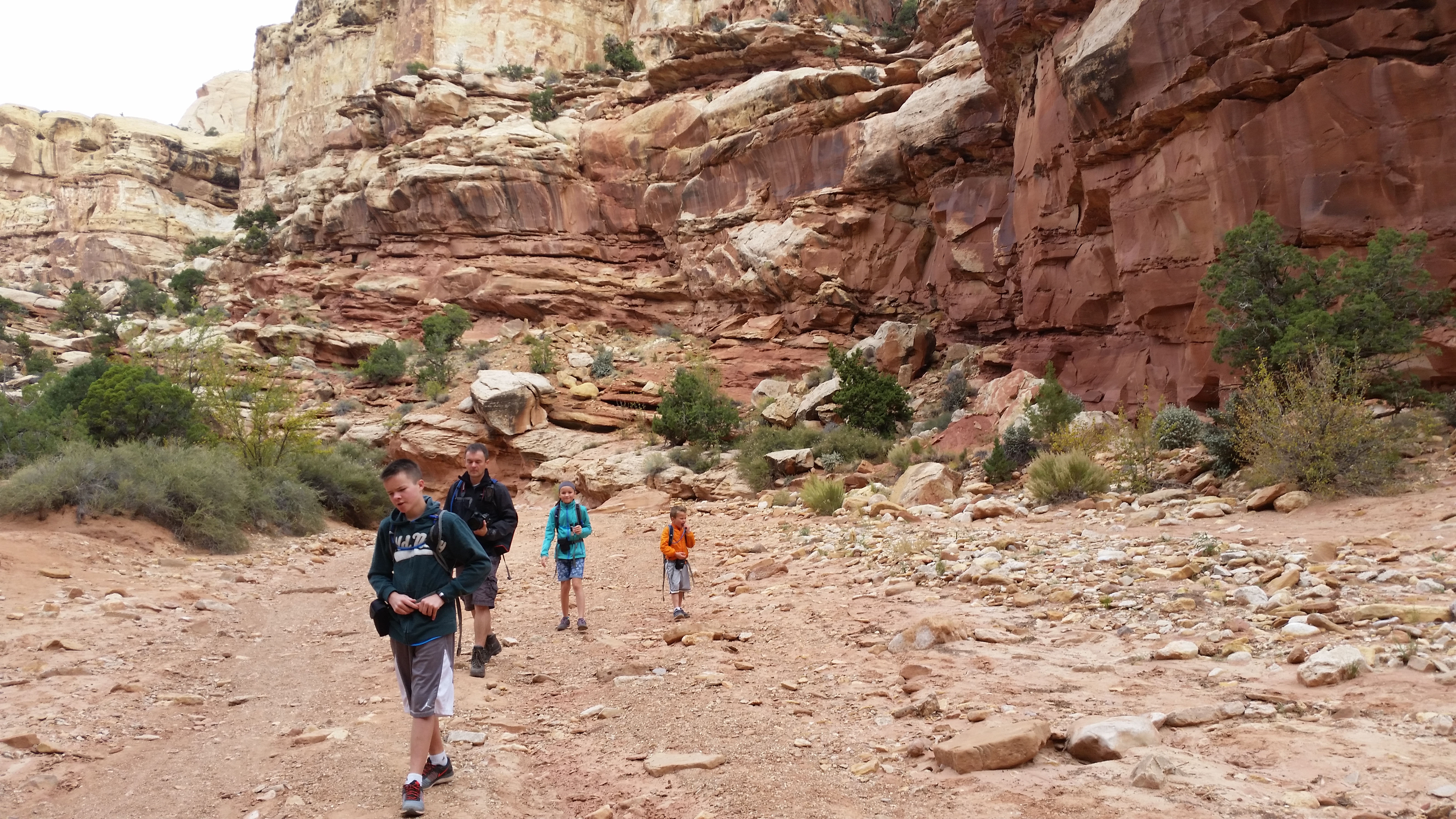 2015 Fall Break - Day 2 - Capitol Reef National Park (Grand Wash Narrows, Capitol Gorge (Petroglyphs, Narrows, Pioneer Register), Waterpocket Fold Drive (Notom-Bullfrog Road, Burr Trail Road), Hell's Backbone Grill (Boulder, Utah))