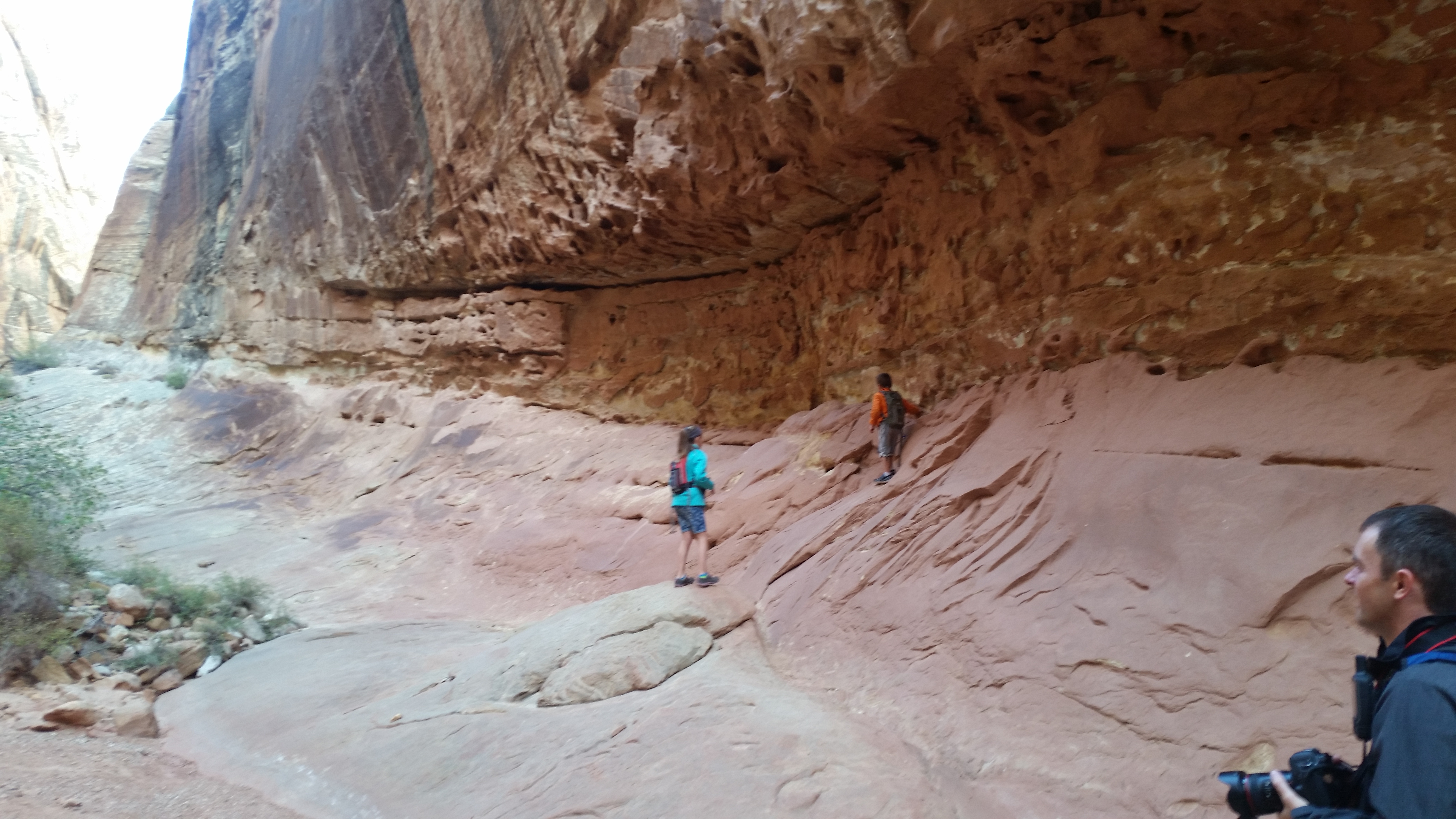 2015 Fall Break - Day 2 - Capitol Reef National Park (Grand Wash Narrows, Capitol Gorge (Petroglyphs, Narrows, Pioneer Register), Waterpocket Fold Drive (Notom-Bullfrog Road, Burr Trail Road), Hell's Backbone Grill (Boulder, Utah))