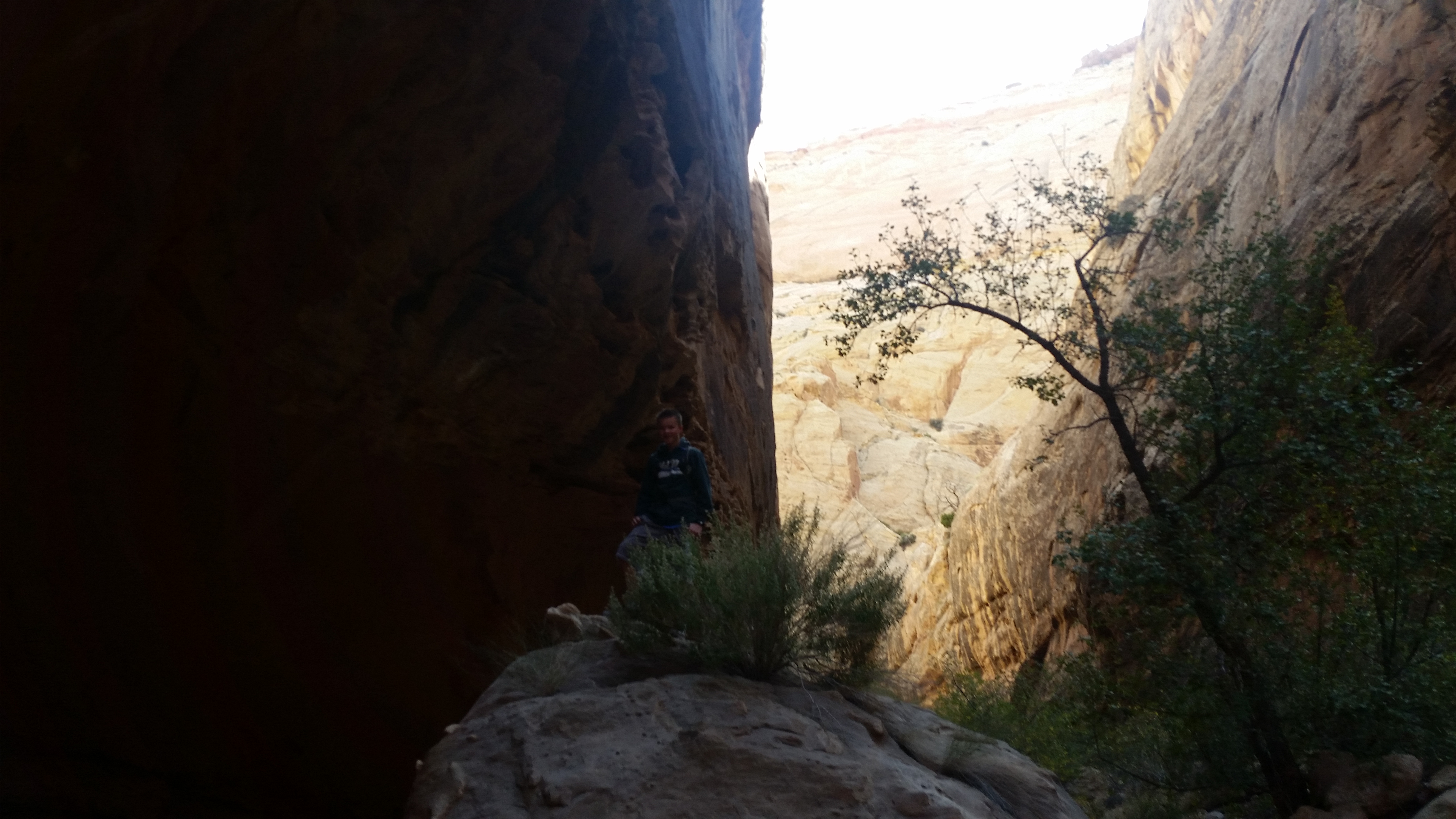 2015 Fall Break - Day 2 - Capitol Reef National Park (Grand Wash Narrows, Capitol Gorge (Petroglyphs, Narrows, Pioneer Register), Waterpocket Fold Drive (Notom-Bullfrog Road, Burr Trail Road), Hell's Backbone Grill (Boulder, Utah))