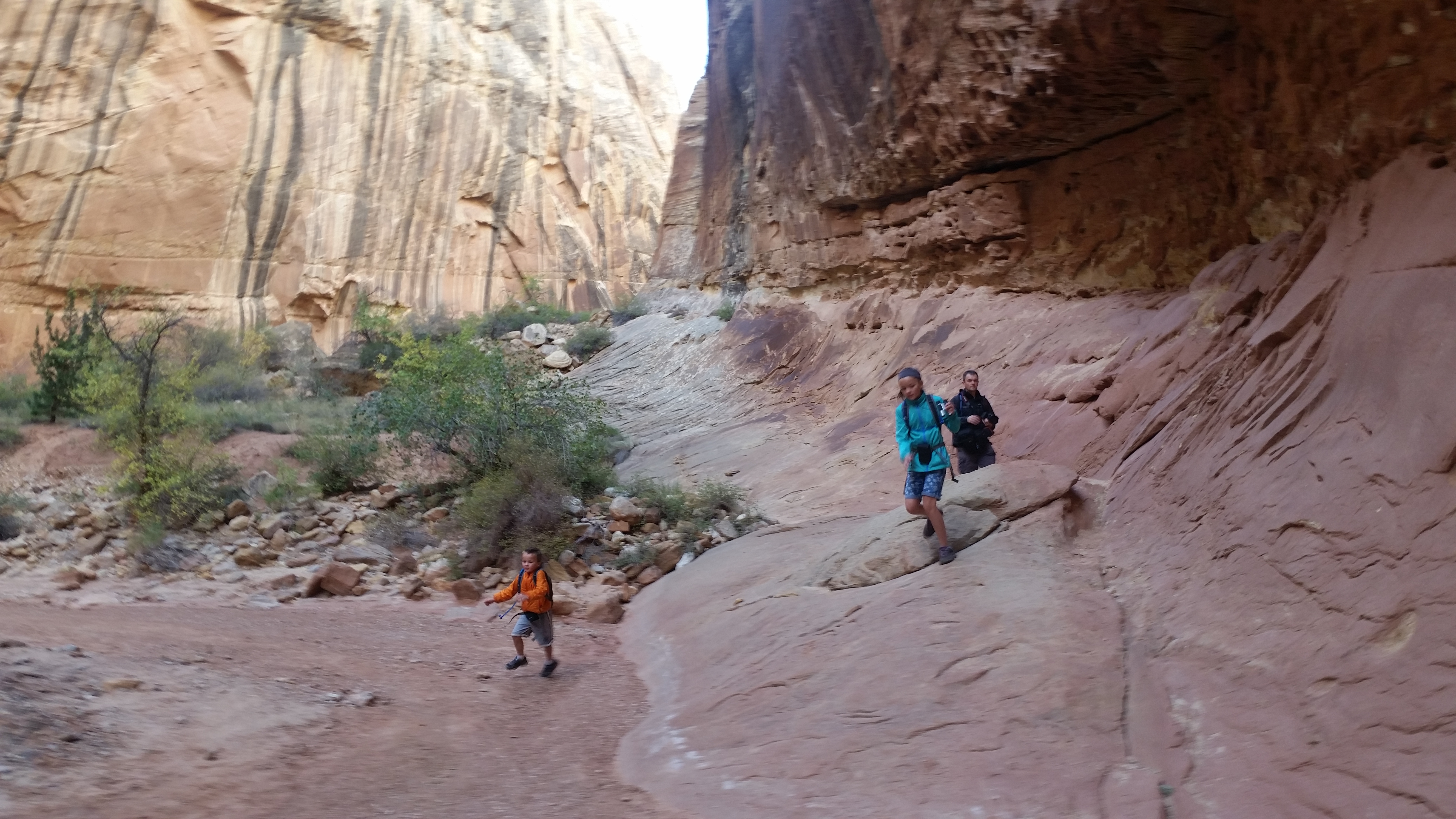 2015 Fall Break - Day 2 - Capitol Reef National Park (Grand Wash Narrows, Capitol Gorge (Petroglyphs, Narrows, Pioneer Register), Waterpocket Fold Drive (Notom-Bullfrog Road, Burr Trail Road), Hell's Backbone Grill (Boulder, Utah))