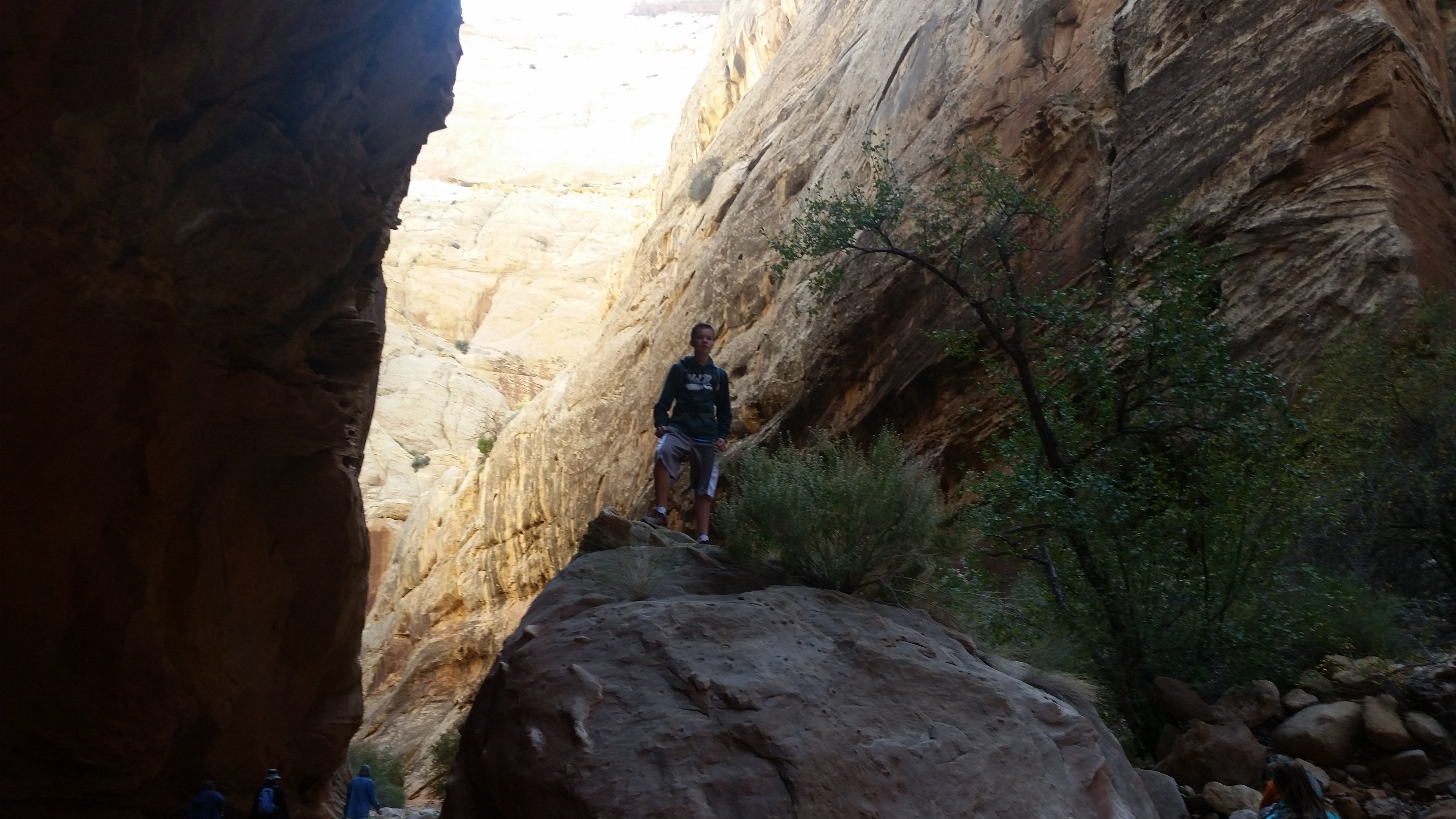 2015 Fall Break - Day 2 - Capitol Reef National Park (Grand Wash Narrows, Capitol Gorge (Petroglyphs, Narrows, Pioneer Register), Waterpocket Fold Drive (Notom-Bullfrog Road, Burr Trail Road), Hell's Backbone Grill (Boulder, Utah))