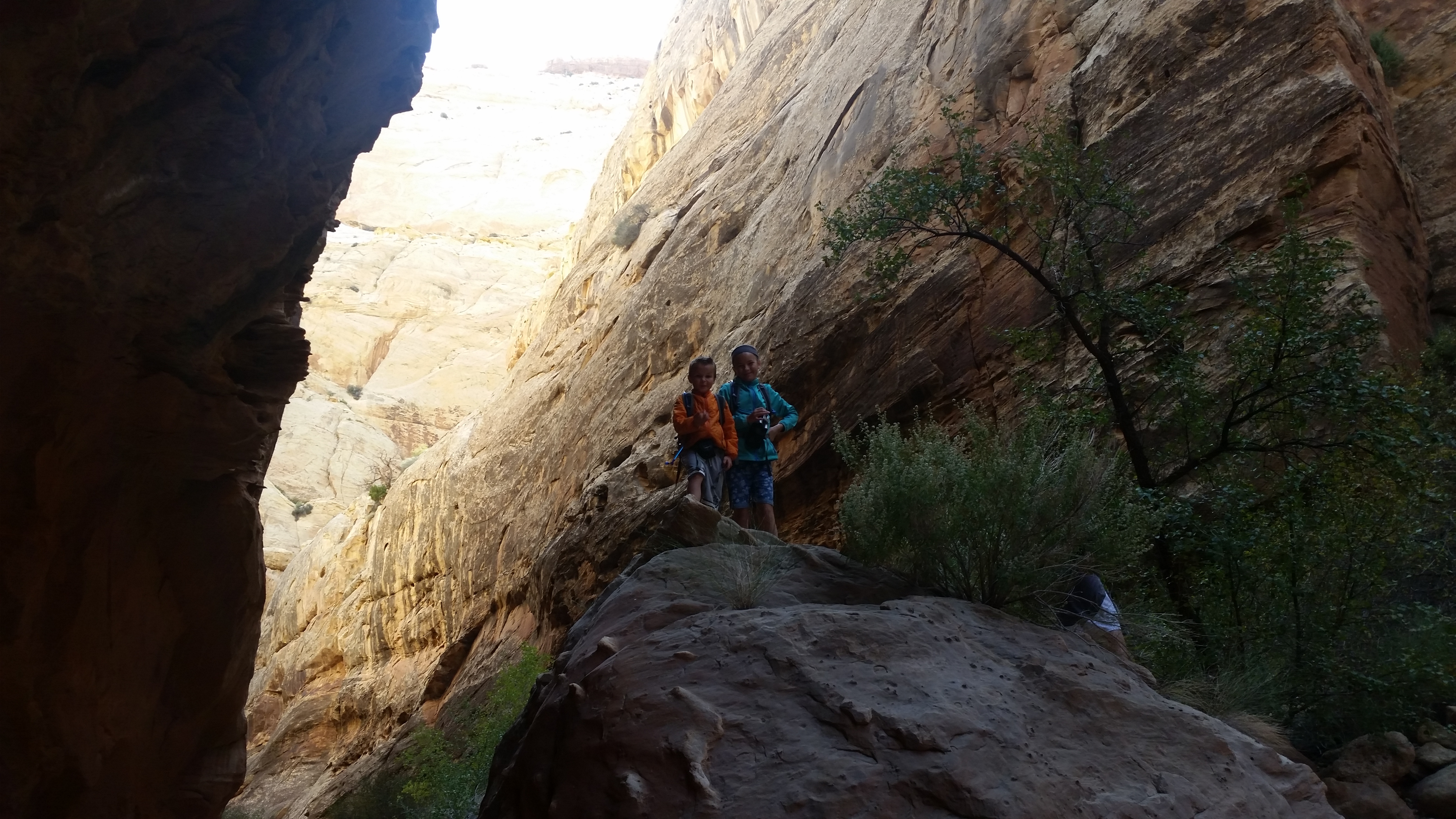 2015 Fall Break - Day 2 - Capitol Reef National Park (Grand Wash Narrows, Capitol Gorge (Petroglyphs, Narrows, Pioneer Register), Waterpocket Fold Drive (Notom-Bullfrog Road, Burr Trail Road), Hell's Backbone Grill (Boulder, Utah))