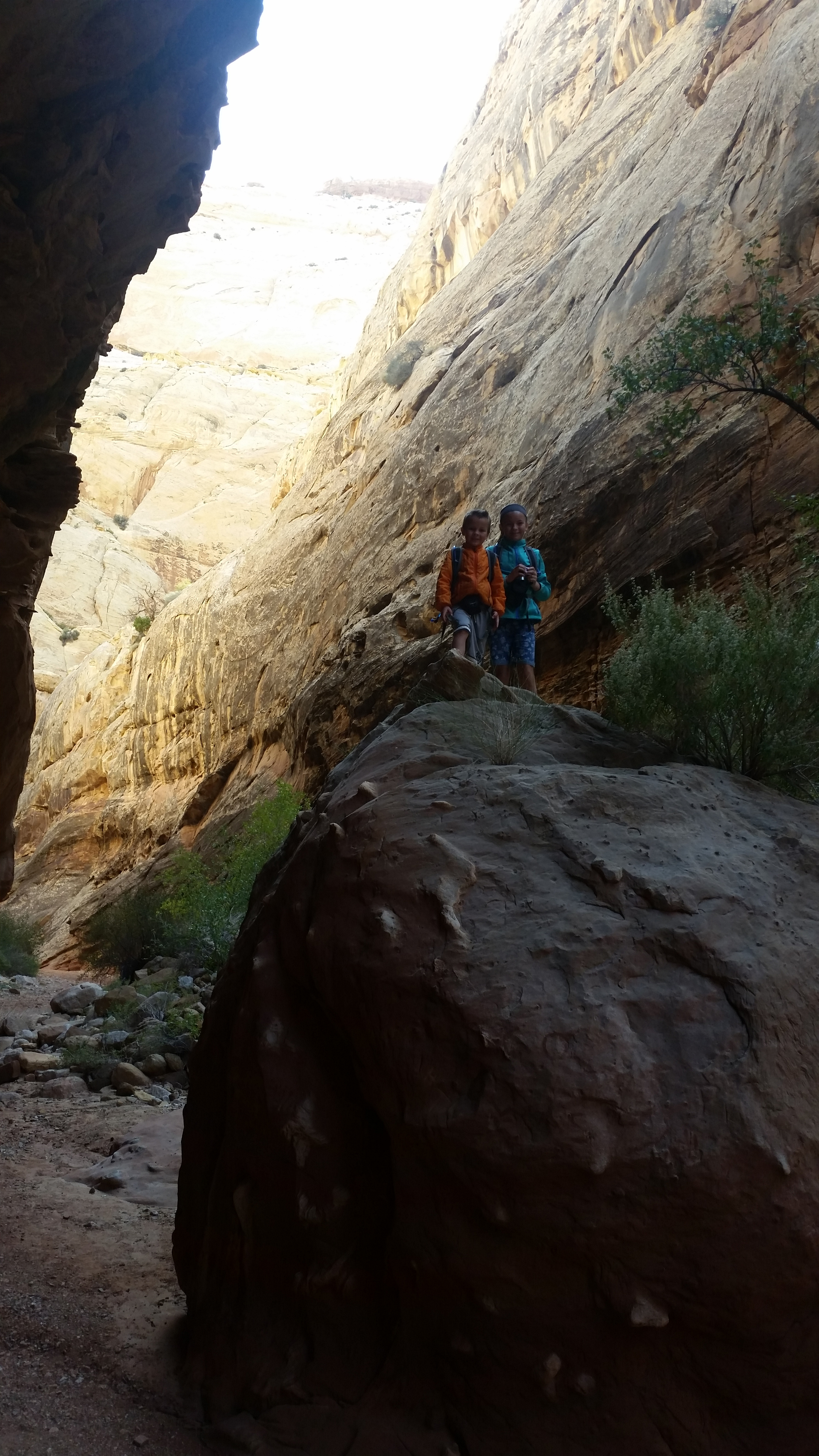 2015 Fall Break - Day 2 - Capitol Reef National Park (Grand Wash Narrows, Capitol Gorge (Petroglyphs, Narrows, Pioneer Register), Waterpocket Fold Drive (Notom-Bullfrog Road, Burr Trail Road), Hell's Backbone Grill (Boulder, Utah))