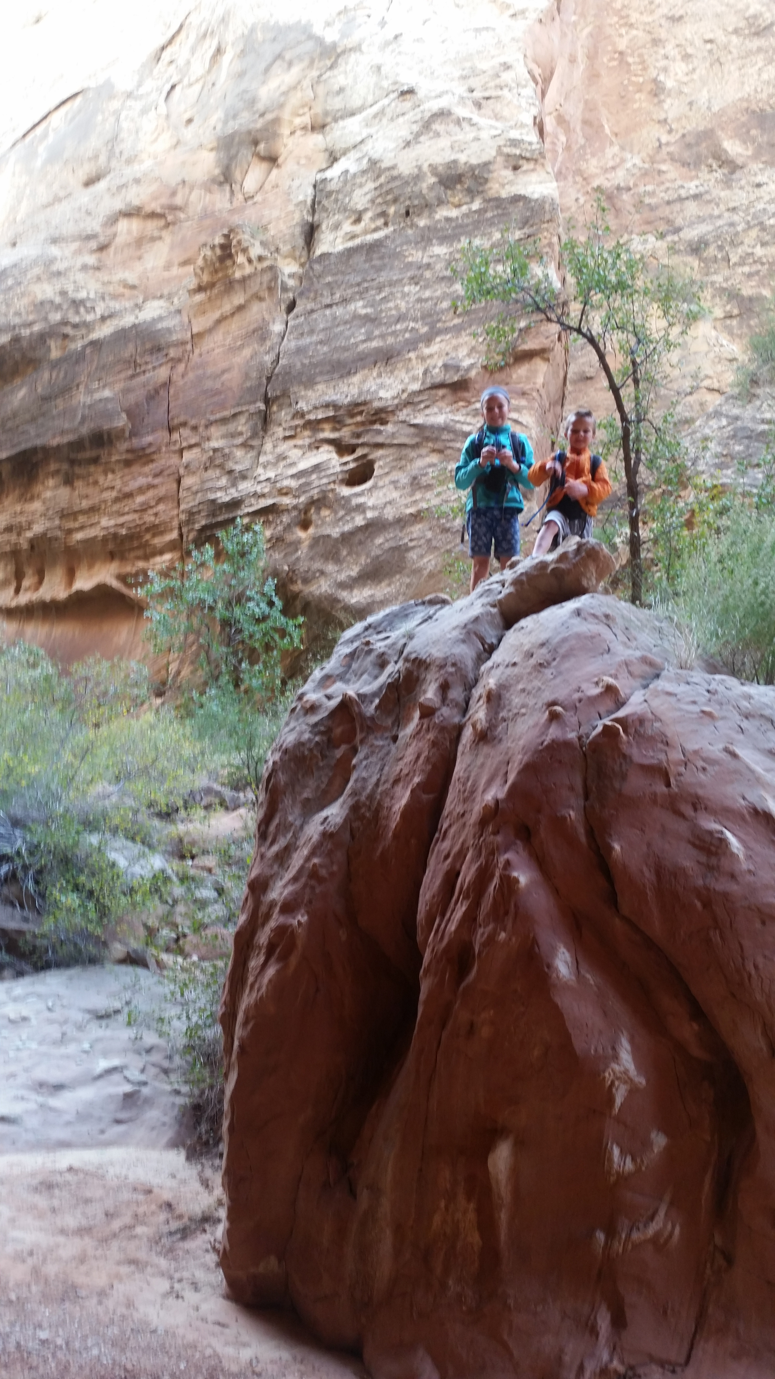 2015 Fall Break - Day 2 - Capitol Reef National Park (Grand Wash Narrows, Capitol Gorge (Petroglyphs, Narrows, Pioneer Register), Waterpocket Fold Drive (Notom-Bullfrog Road, Burr Trail Road), Hell's Backbone Grill (Boulder, Utah))