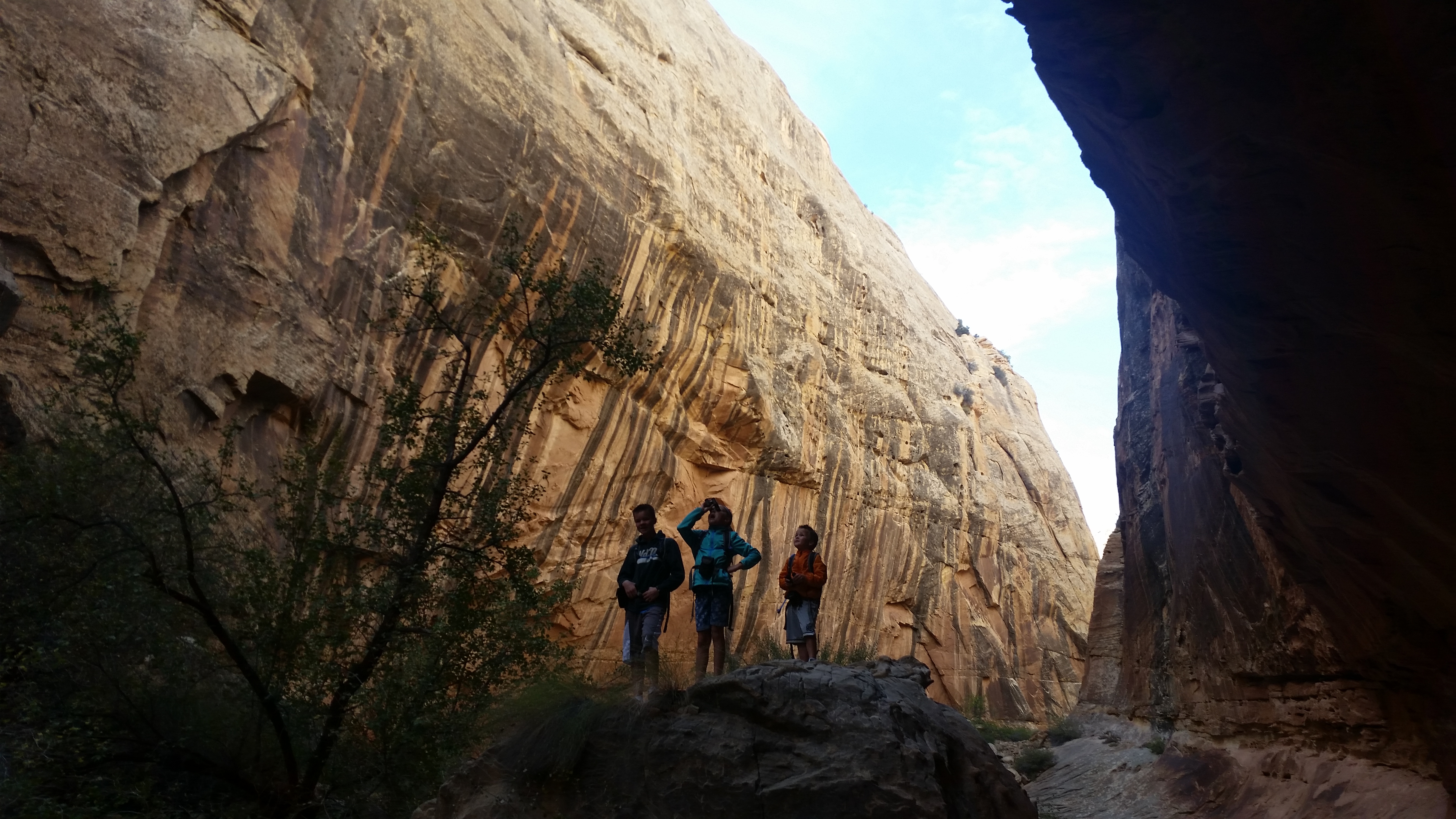 2015 Fall Break - Day 2 - Capitol Reef National Park (Grand Wash Narrows, Capitol Gorge (Petroglyphs, Narrows, Pioneer Register), Waterpocket Fold Drive (Notom-Bullfrog Road, Burr Trail Road), Hell's Backbone Grill (Boulder, Utah))