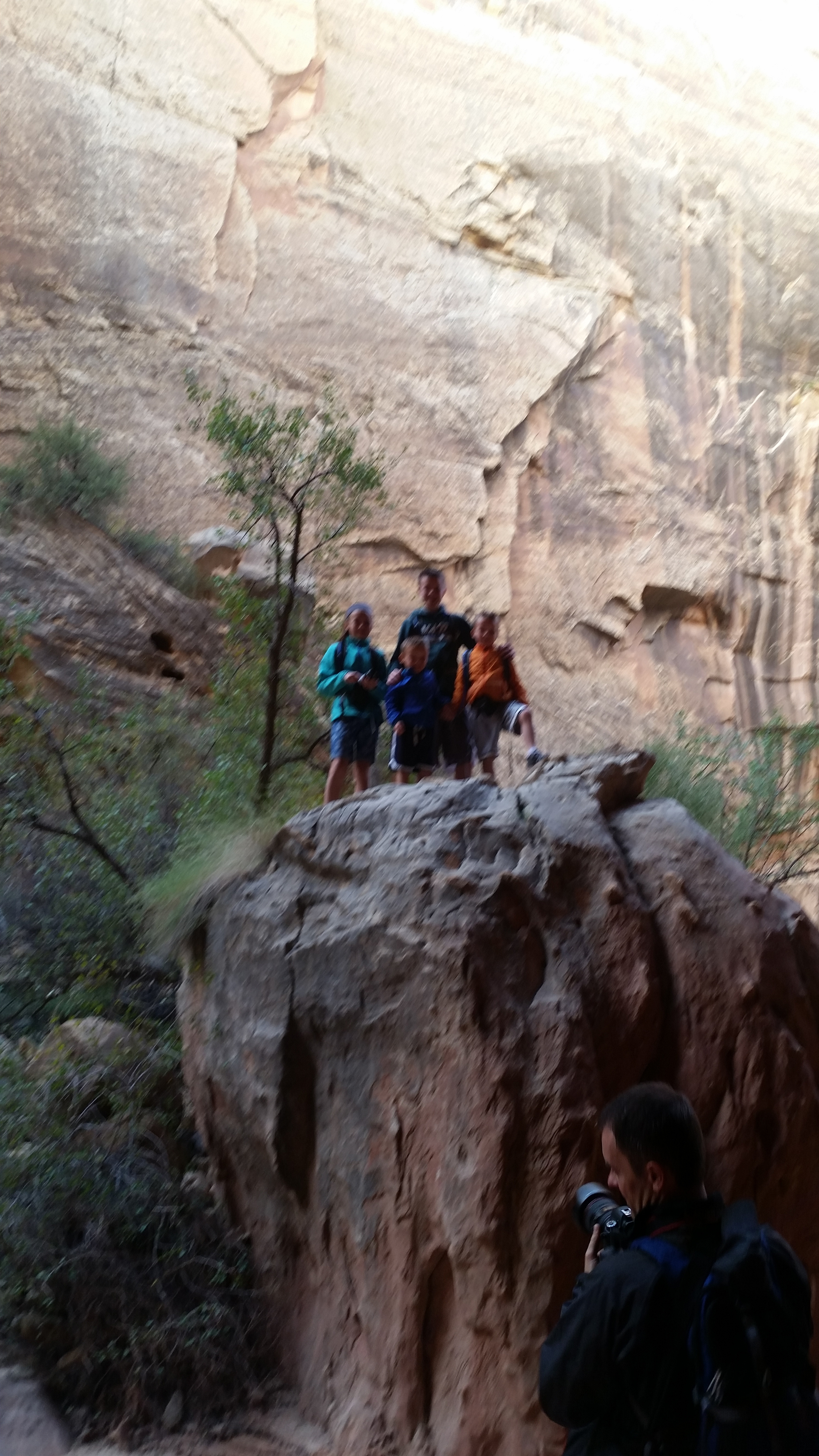 2015 Fall Break - Day 2 - Capitol Reef National Park (Grand Wash Narrows, Capitol Gorge (Petroglyphs, Narrows, Pioneer Register), Waterpocket Fold Drive (Notom-Bullfrog Road, Burr Trail Road), Hell's Backbone Grill (Boulder, Utah))