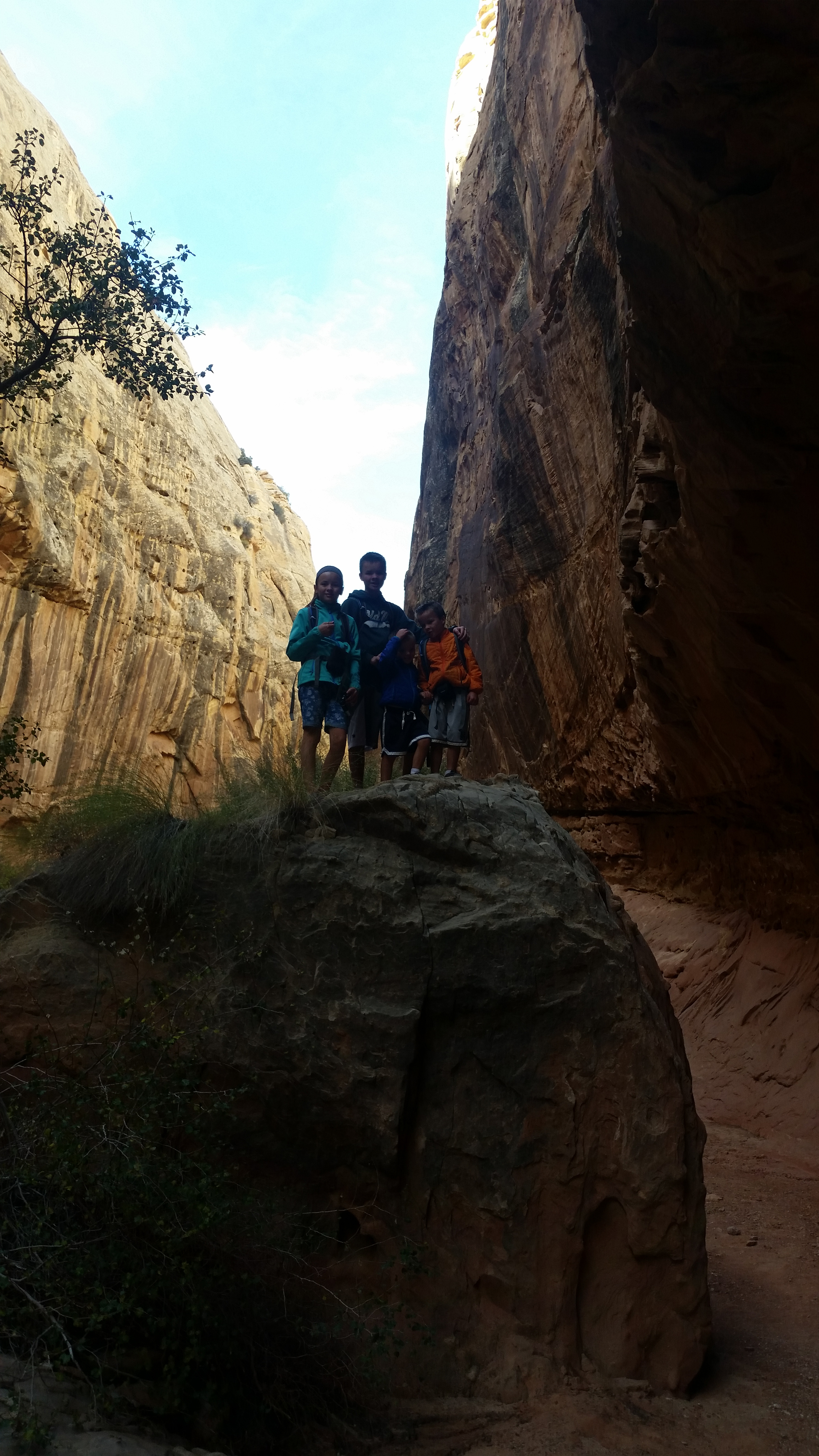 2015 Fall Break - Day 2 - Capitol Reef National Park (Grand Wash Narrows, Capitol Gorge (Petroglyphs, Narrows, Pioneer Register), Waterpocket Fold Drive (Notom-Bullfrog Road, Burr Trail Road), Hell's Backbone Grill (Boulder, Utah))