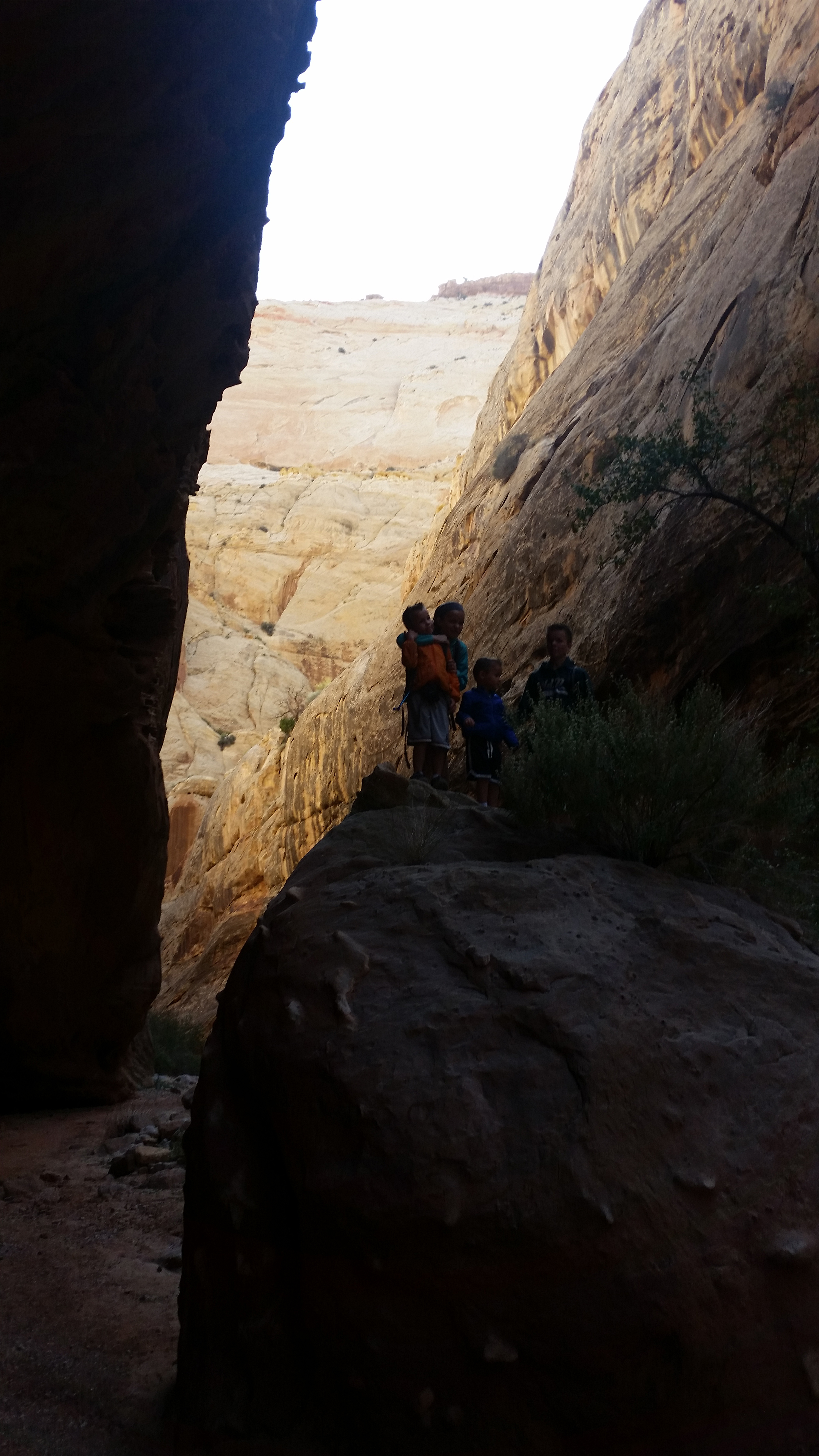 2015 Fall Break - Day 2 - Capitol Reef National Park (Grand Wash Narrows, Capitol Gorge (Petroglyphs, Narrows, Pioneer Register), Waterpocket Fold Drive (Notom-Bullfrog Road, Burr Trail Road), Hell's Backbone Grill (Boulder, Utah))