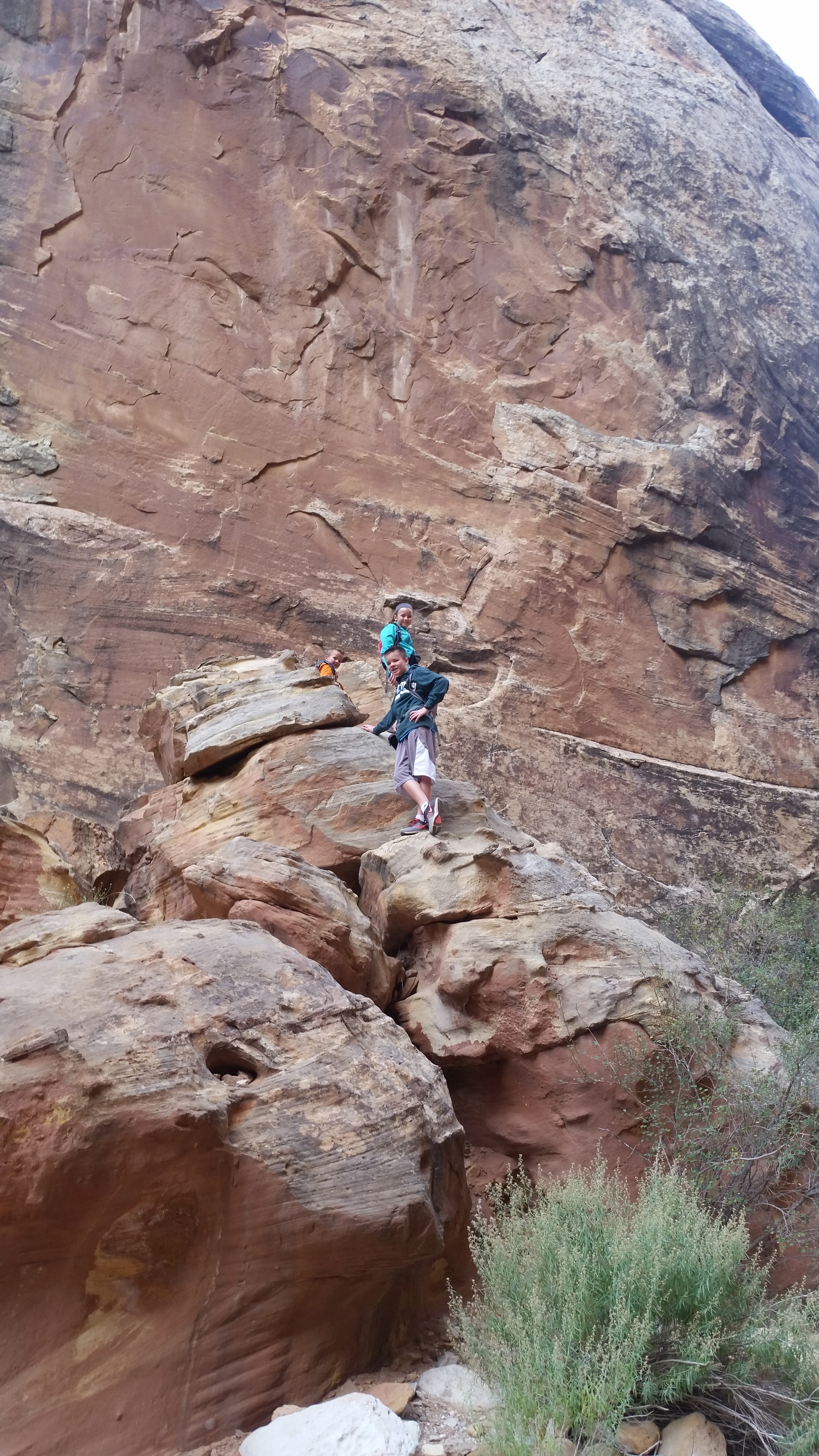 2015 Fall Break - Day 2 - Capitol Reef National Park (Grand Wash Narrows, Capitol Gorge (Petroglyphs, Narrows, Pioneer Register), Waterpocket Fold Drive (Notom-Bullfrog Road, Burr Trail Road), Hell's Backbone Grill (Boulder, Utah))