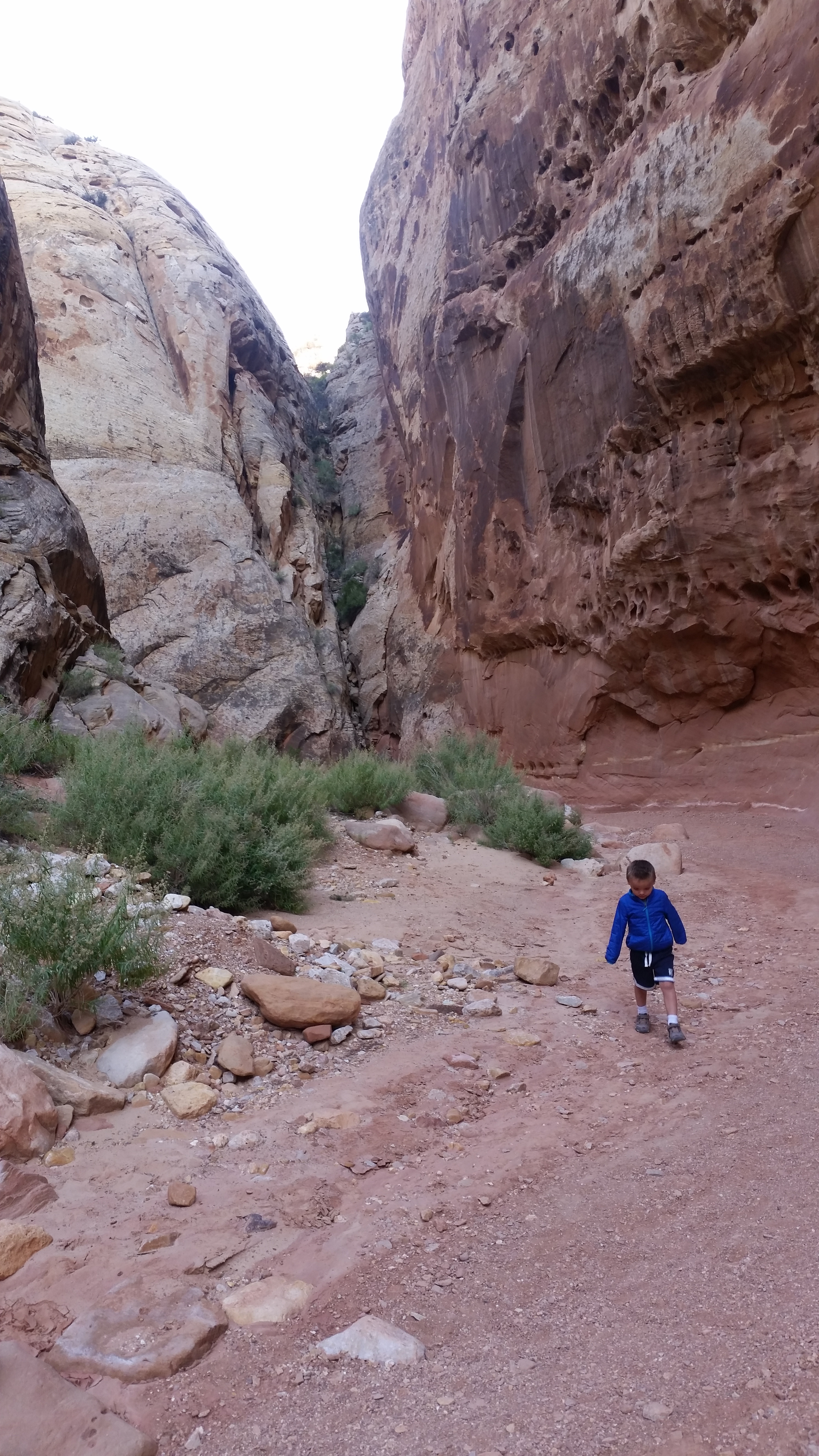 2015 Fall Break - Day 2 - Capitol Reef National Park (Grand Wash Narrows, Capitol Gorge (Petroglyphs, Narrows, Pioneer Register), Waterpocket Fold Drive (Notom-Bullfrog Road, Burr Trail Road), Hell's Backbone Grill (Boulder, Utah))