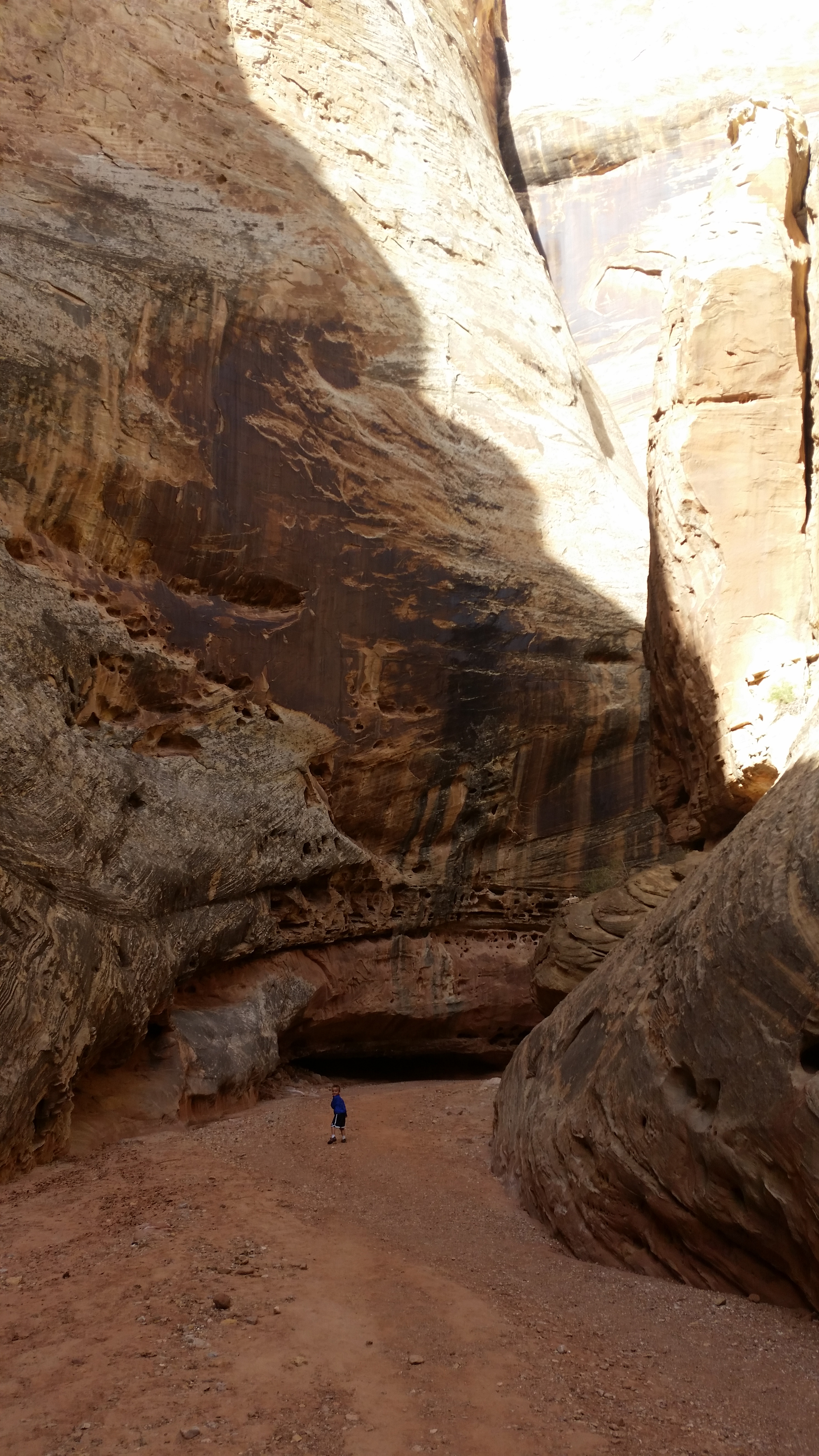 2015 Fall Break - Day 2 - Capitol Reef National Park (Grand Wash Narrows, Capitol Gorge (Petroglyphs, Narrows, Pioneer Register), Waterpocket Fold Drive (Notom-Bullfrog Road, Burr Trail Road), Hell's Backbone Grill (Boulder, Utah))