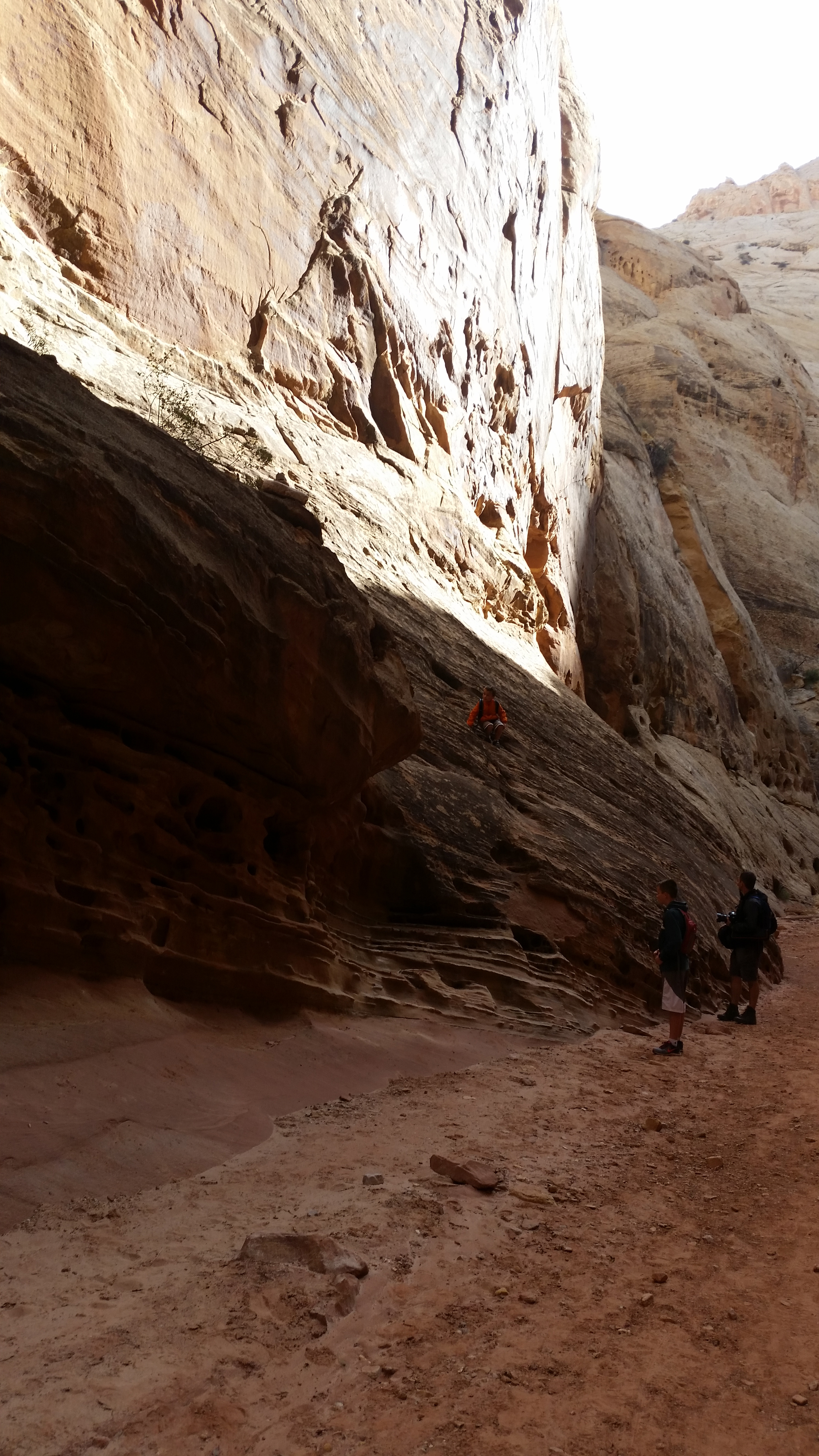 2015 Fall Break - Day 2 - Capitol Reef National Park (Grand Wash Narrows, Capitol Gorge (Petroglyphs, Narrows, Pioneer Register), Waterpocket Fold Drive (Notom-Bullfrog Road, Burr Trail Road), Hell's Backbone Grill (Boulder, Utah))