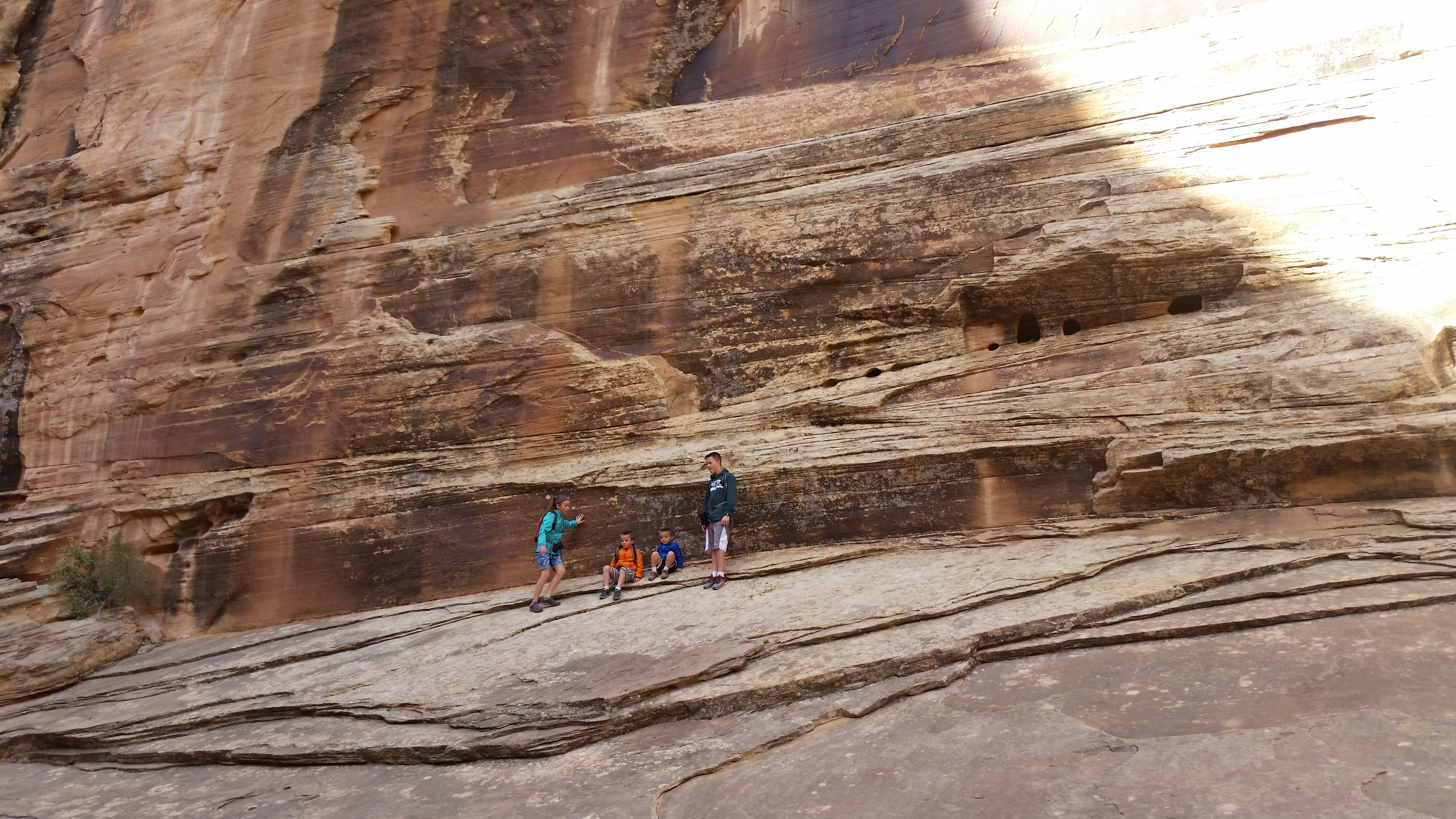 2015 Fall Break - Day 2 - Capitol Reef National Park (Grand Wash Narrows, Capitol Gorge (Petroglyphs, Narrows, Pioneer Register), Waterpocket Fold Drive (Notom-Bullfrog Road, Burr Trail Road), Hell's Backbone Grill (Boulder, Utah))