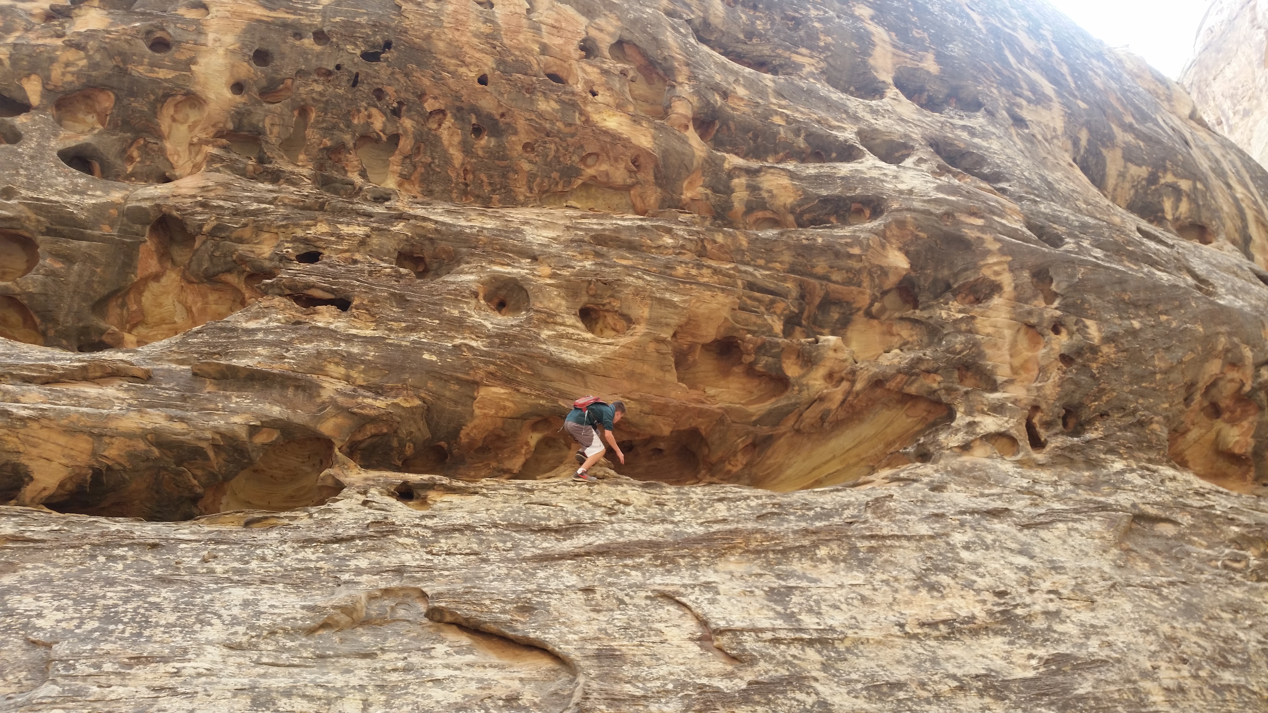 2015 Fall Break - Day 2 - Capitol Reef National Park (Grand Wash Narrows, Capitol Gorge (Petroglyphs, Narrows, Pioneer Register), Waterpocket Fold Drive (Notom-Bullfrog Road, Burr Trail Road), Hell's Backbone Grill (Boulder, Utah))