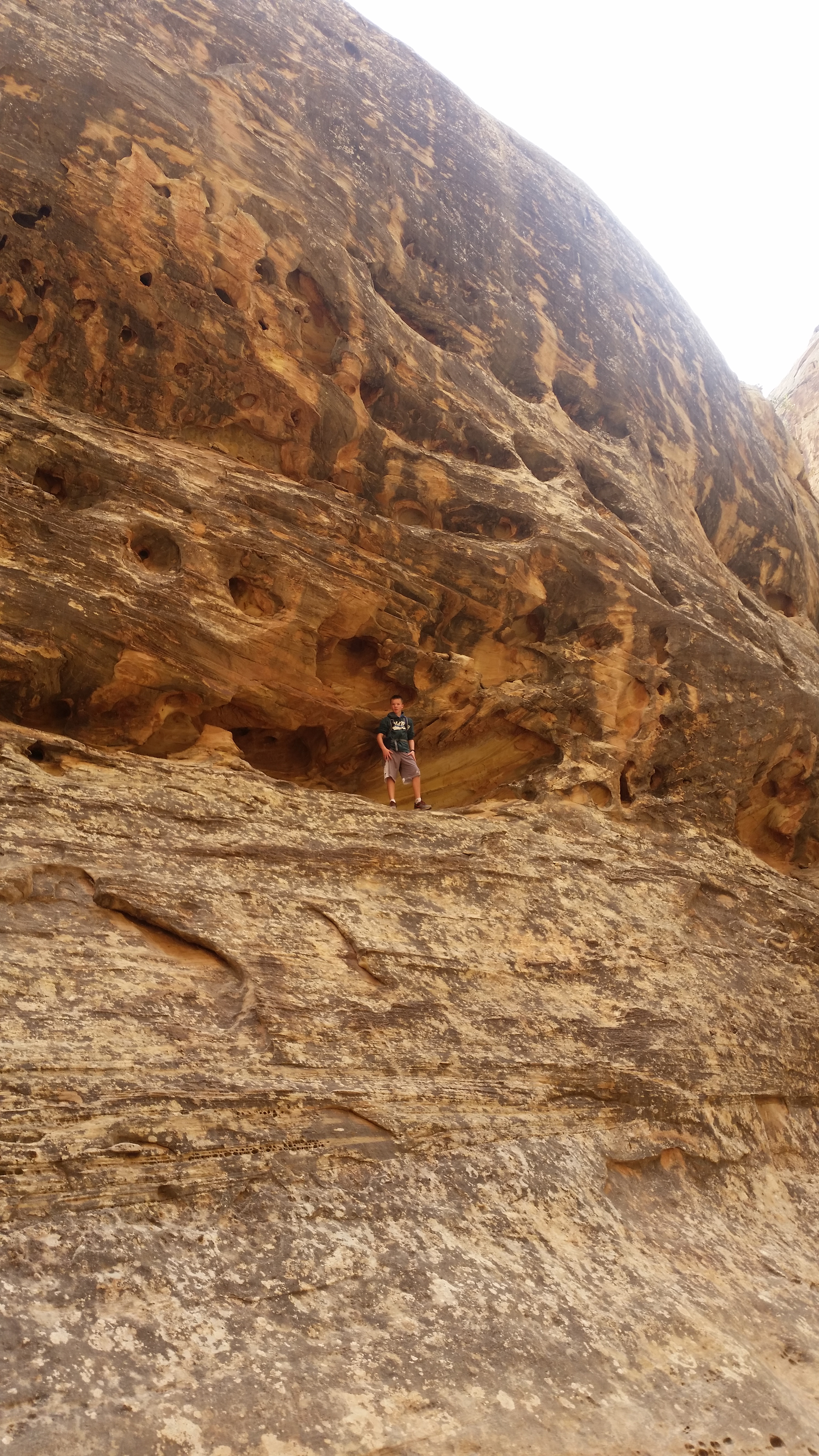 2015 Fall Break - Day 2 - Capitol Reef National Park (Grand Wash Narrows, Capitol Gorge (Petroglyphs, Narrows, Pioneer Register), Waterpocket Fold Drive (Notom-Bullfrog Road, Burr Trail Road), Hell's Backbone Grill (Boulder, Utah))