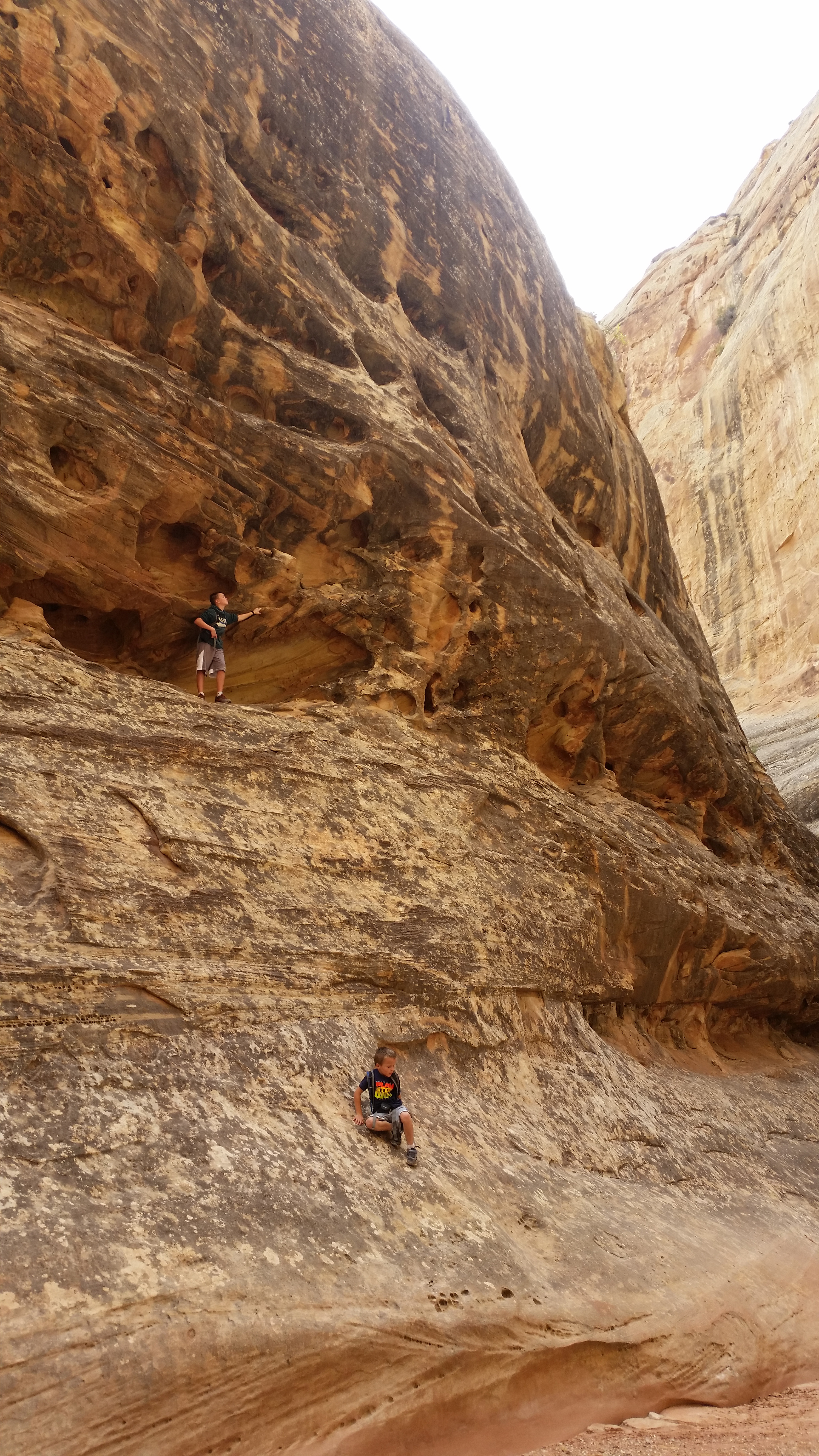 2015 Fall Break - Day 2 - Capitol Reef National Park (Grand Wash Narrows, Capitol Gorge (Petroglyphs, Narrows, Pioneer Register), Waterpocket Fold Drive (Notom-Bullfrog Road, Burr Trail Road), Hell's Backbone Grill (Boulder, Utah))