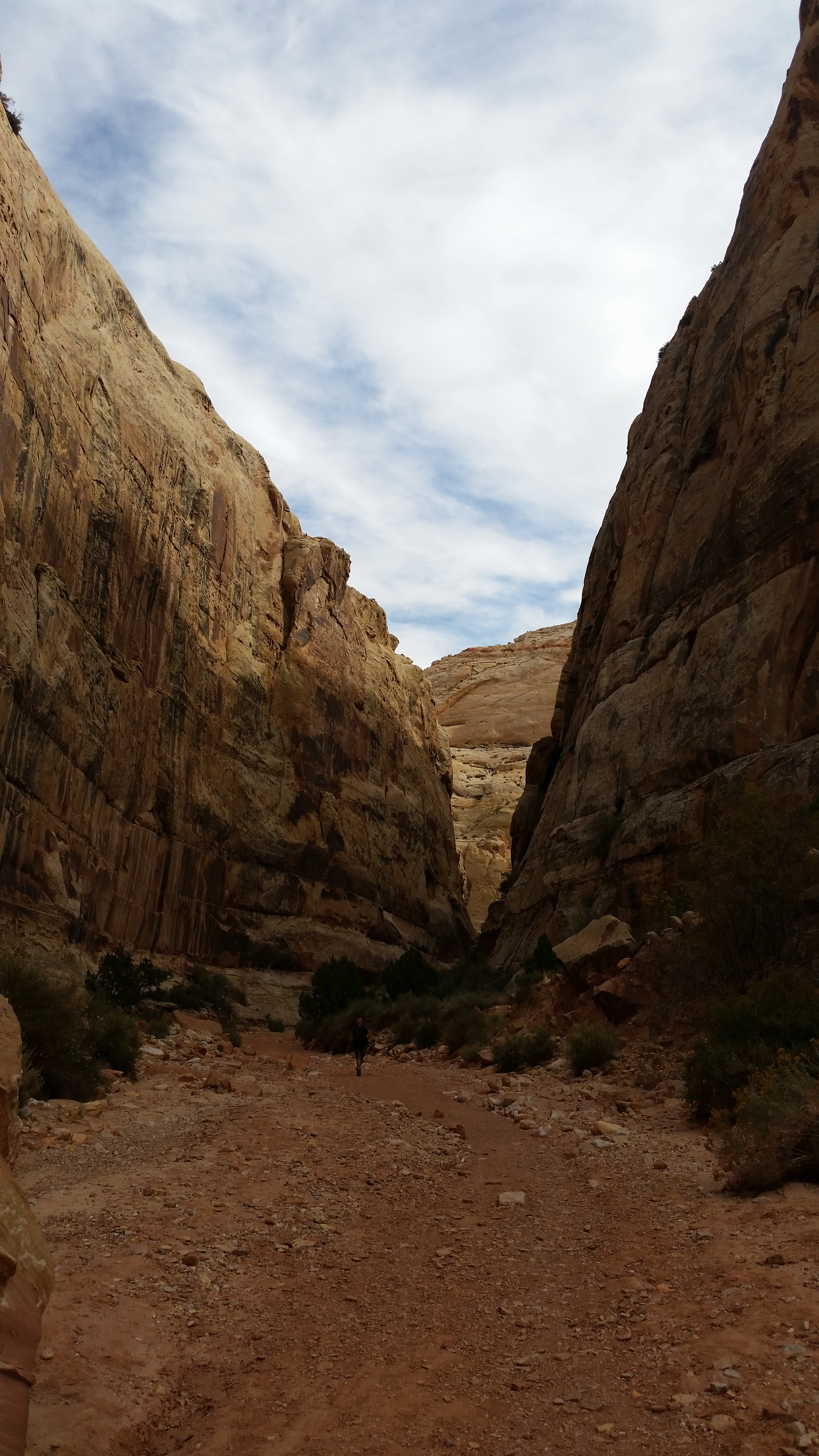 2015 Fall Break - Day 2 - Capitol Reef National Park (Grand Wash Narrows, Capitol Gorge (Petroglyphs, Narrows, Pioneer Register), Waterpocket Fold Drive (Notom-Bullfrog Road, Burr Trail Road), Hell's Backbone Grill (Boulder, Utah))