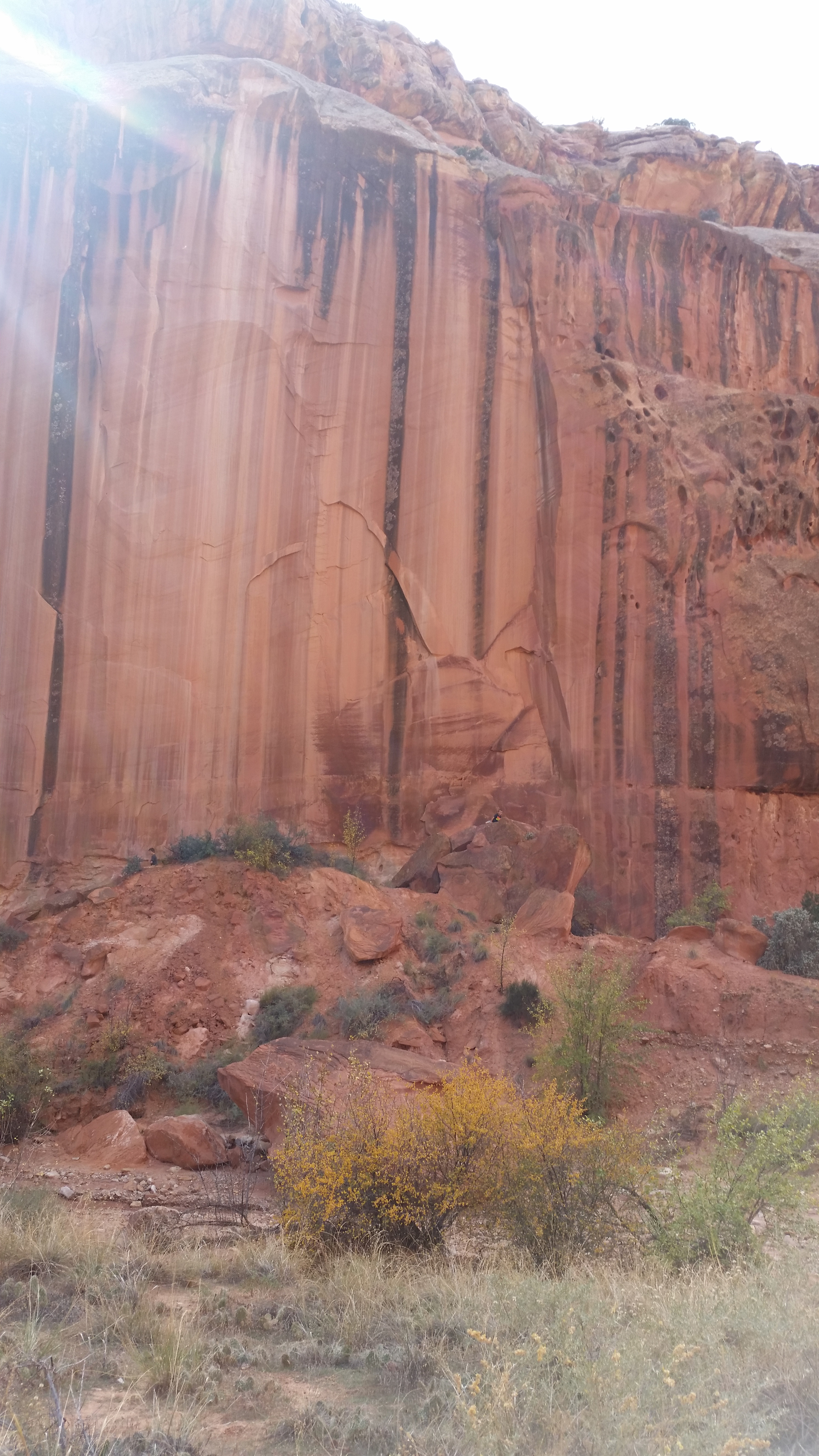 2015 Fall Break - Day 2 - Capitol Reef National Park (Grand Wash Narrows, Capitol Gorge (Petroglyphs, Narrows, Pioneer Register), Waterpocket Fold Drive (Notom-Bullfrog Road, Burr Trail Road), Hell's Backbone Grill (Boulder, Utah))