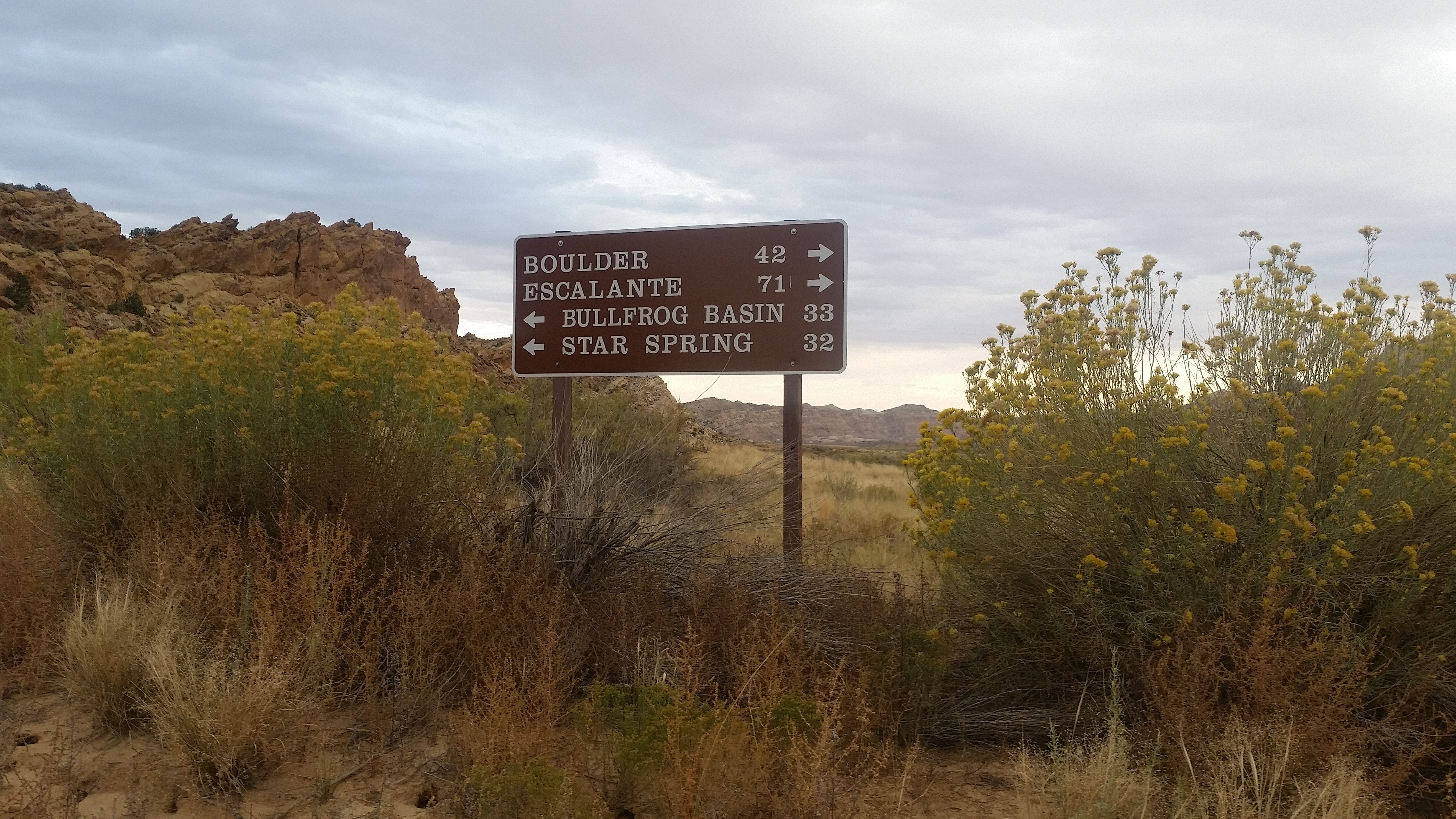 2015 Fall Break - Day 2 - Capitol Reef National Park (Grand Wash Narrows, Capitol Gorge (Petroglyphs, Narrows, Pioneer Register), Waterpocket Fold Drive (Notom-Bullfrog Road, Burr Trail Road), Hell's Backbone Grill (Boulder, Utah))