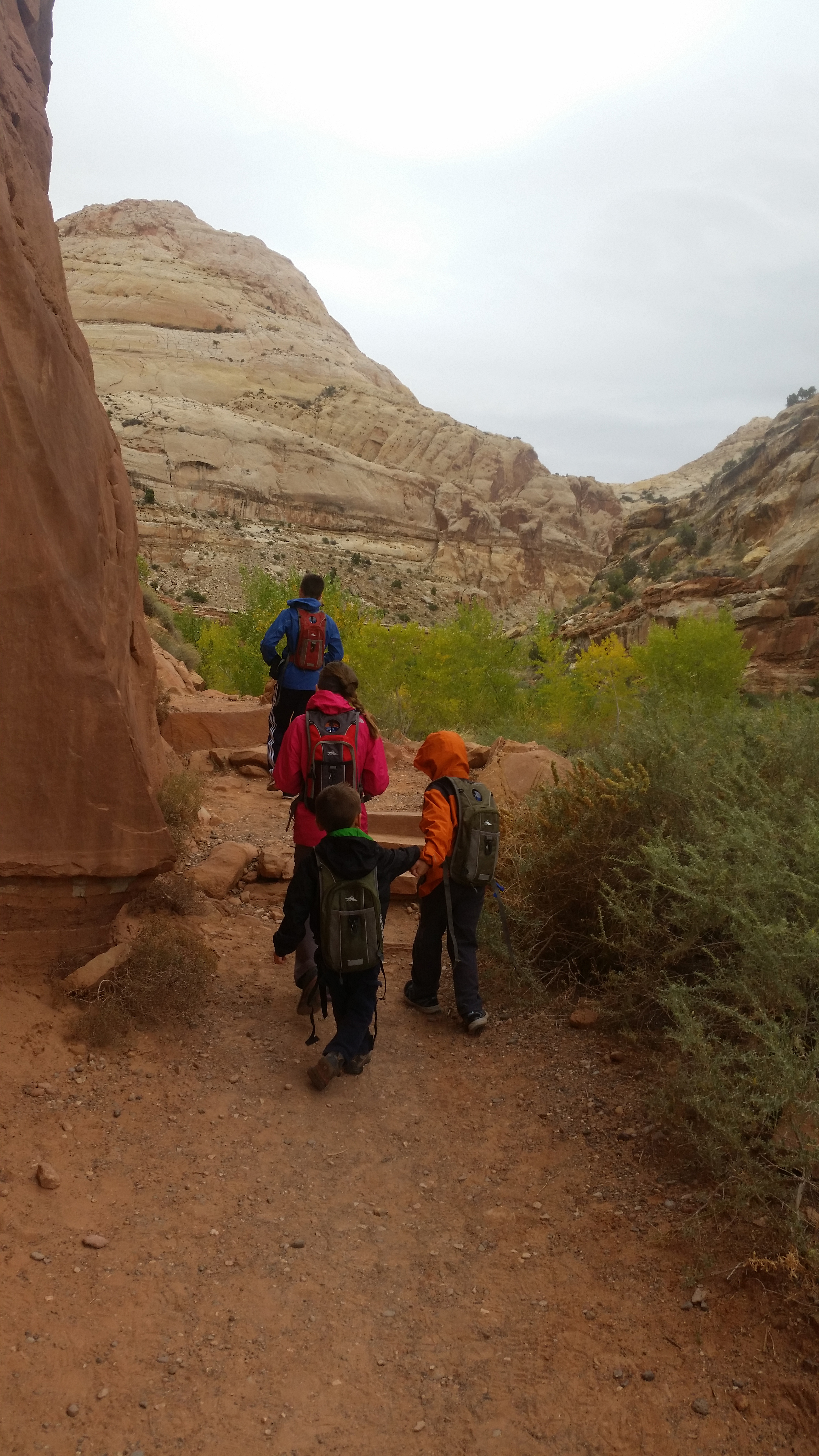 2015 Fall Break - Day 3 - Capitol Reef National Park (Gifford House Pies, Hickman Bridge Arch, Snakes Alive!, Picking Apples in the Fruita Pioneer Orchards, Goosenecks Overlook, Panorama Point), Eating Rattlesnakes at Cafe Diablo (Torrey, Utah)