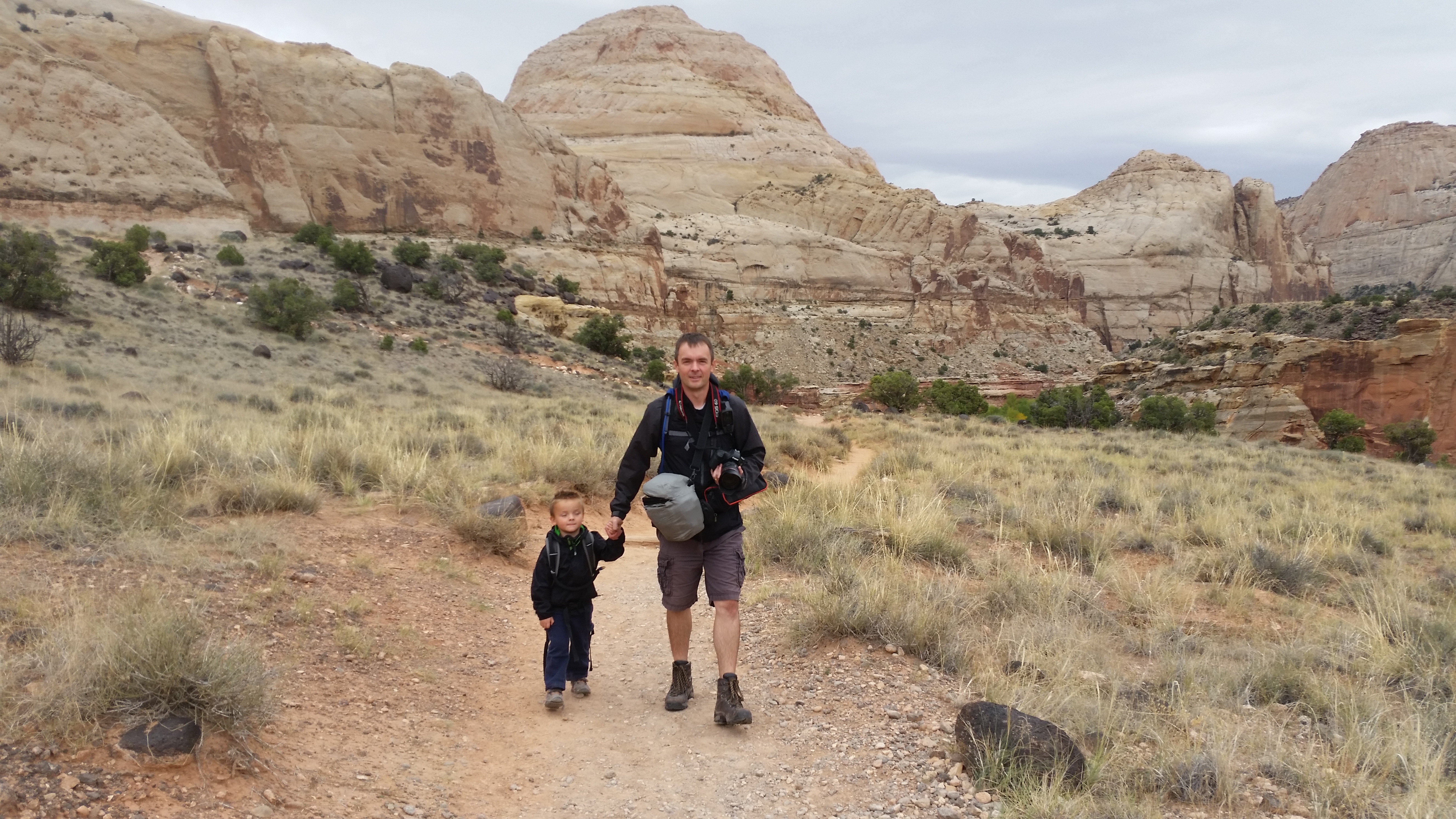 2015 Fall Break - Day 3 - Capitol Reef National Park (Gifford House Pies, Hickman Bridge Arch, Snakes Alive!, Picking Apples in the Fruita Pioneer Orchards, Goosenecks Overlook, Panorama Point), Eating Rattlesnakes at Cafe Diablo (Torrey, Utah)