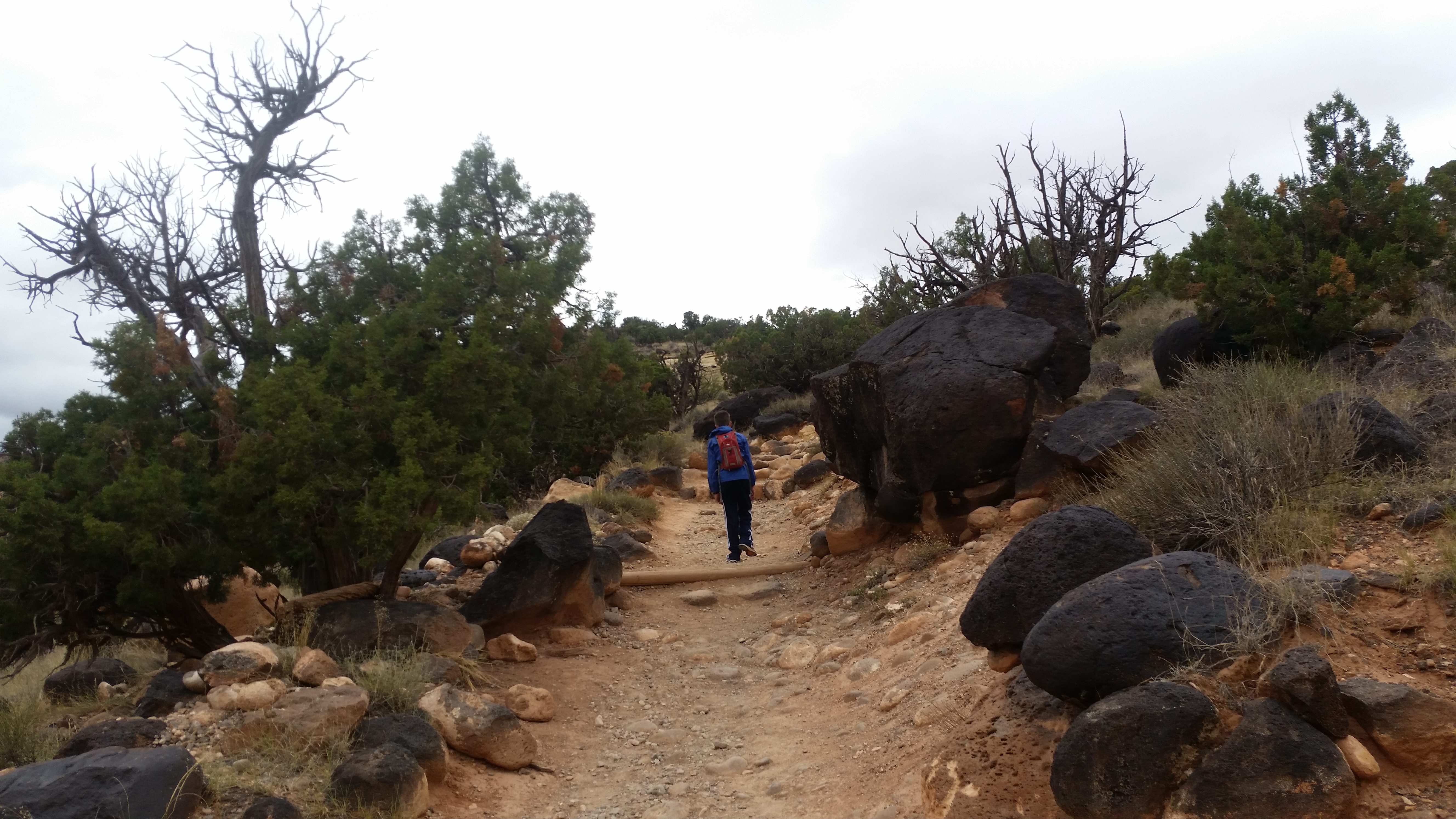 2015 Fall Break - Day 3 - Capitol Reef National Park (Gifford House Pies, Hickman Bridge Arch, Snakes Alive!, Picking Apples in the Fruita Pioneer Orchards, Goosenecks Overlook, Panorama Point), Eating Rattlesnakes at Cafe Diablo (Torrey, Utah)