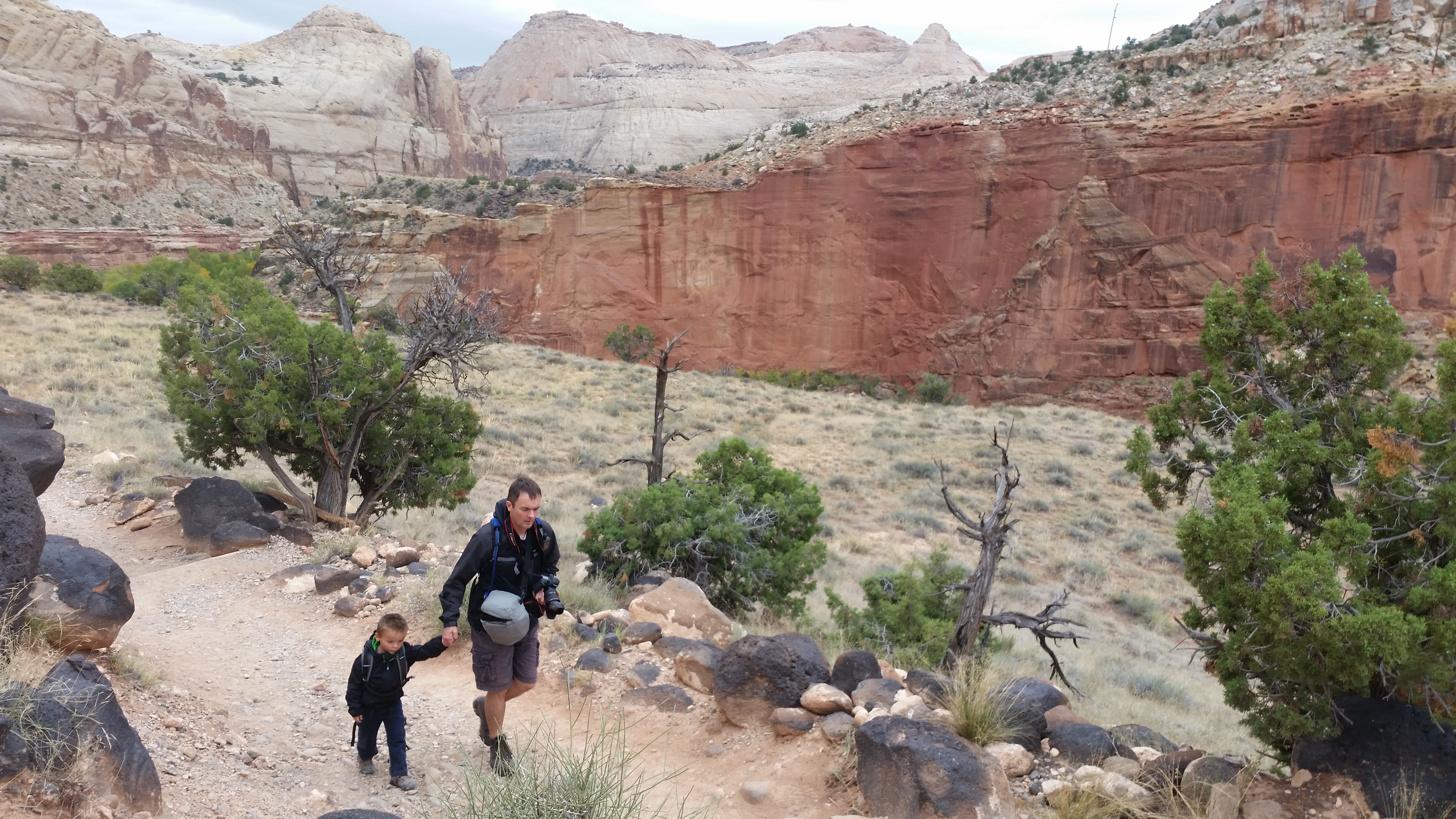 2015 Fall Break - Day 3 - Capitol Reef National Park (Gifford House Pies, Hickman Bridge Arch, Snakes Alive!, Picking Apples in the Fruita Pioneer Orchards, Goosenecks Overlook, Panorama Point), Eating Rattlesnakes at Cafe Diablo (Torrey, Utah)