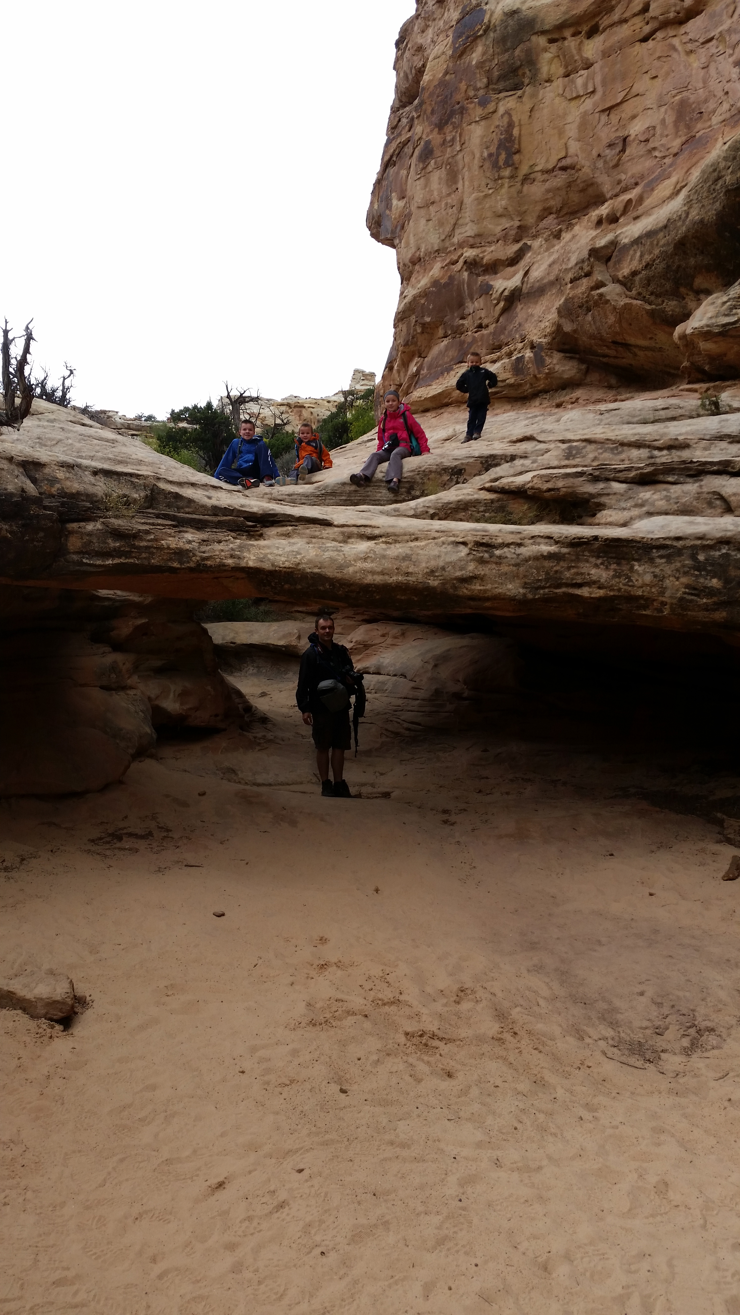 2015 Fall Break - Day 3 - Capitol Reef National Park (Gifford House Pies, Hickman Bridge Arch, Snakes Alive!, Picking Apples in the Fruita Pioneer Orchards, Goosenecks Overlook, Panorama Point), Eating Rattlesnakes at Cafe Diablo (Torrey, Utah)