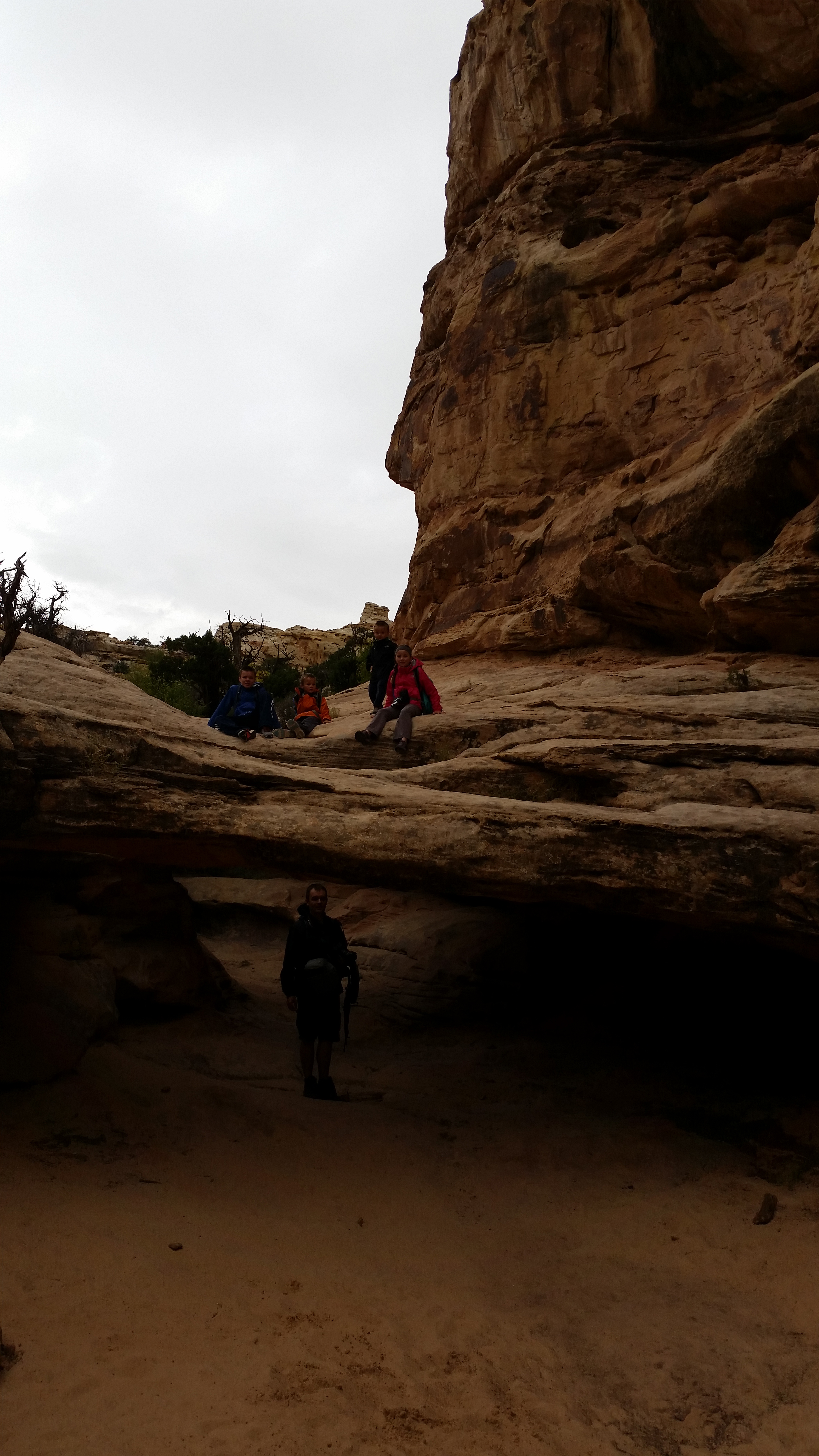 2015 Fall Break - Day 3 - Capitol Reef National Park (Gifford House Pies, Hickman Bridge Arch, Snakes Alive!, Picking Apples in the Fruita Pioneer Orchards, Goosenecks Overlook, Panorama Point), Eating Rattlesnakes at Cafe Diablo (Torrey, Utah)