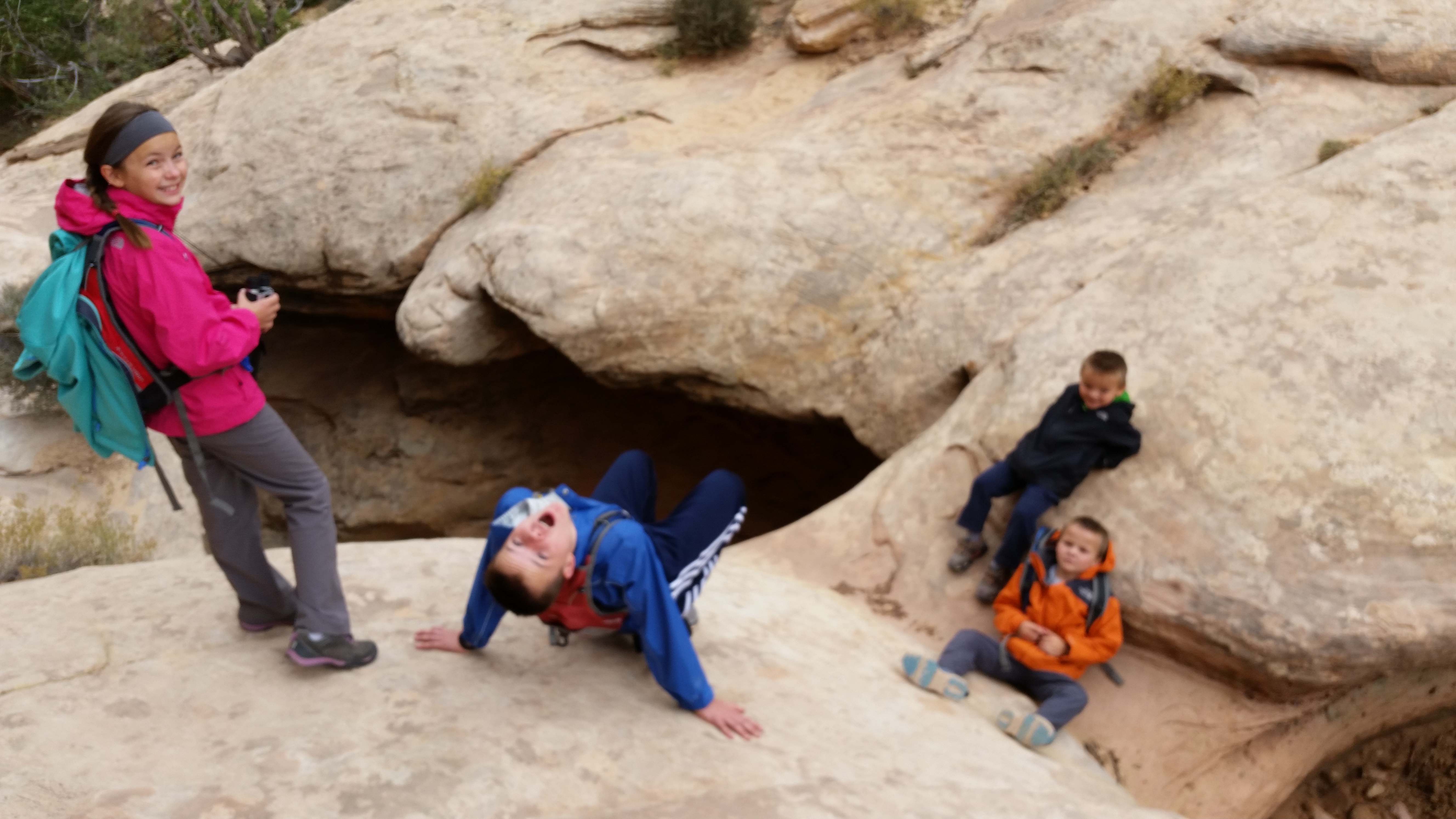 2015 Fall Break - Day 3 - Capitol Reef National Park (Gifford House Pies, Hickman Bridge Arch, Snakes Alive!, Picking Apples in the Fruita Pioneer Orchards, Goosenecks Overlook, Panorama Point), Eating Rattlesnakes at Cafe Diablo (Torrey, Utah)