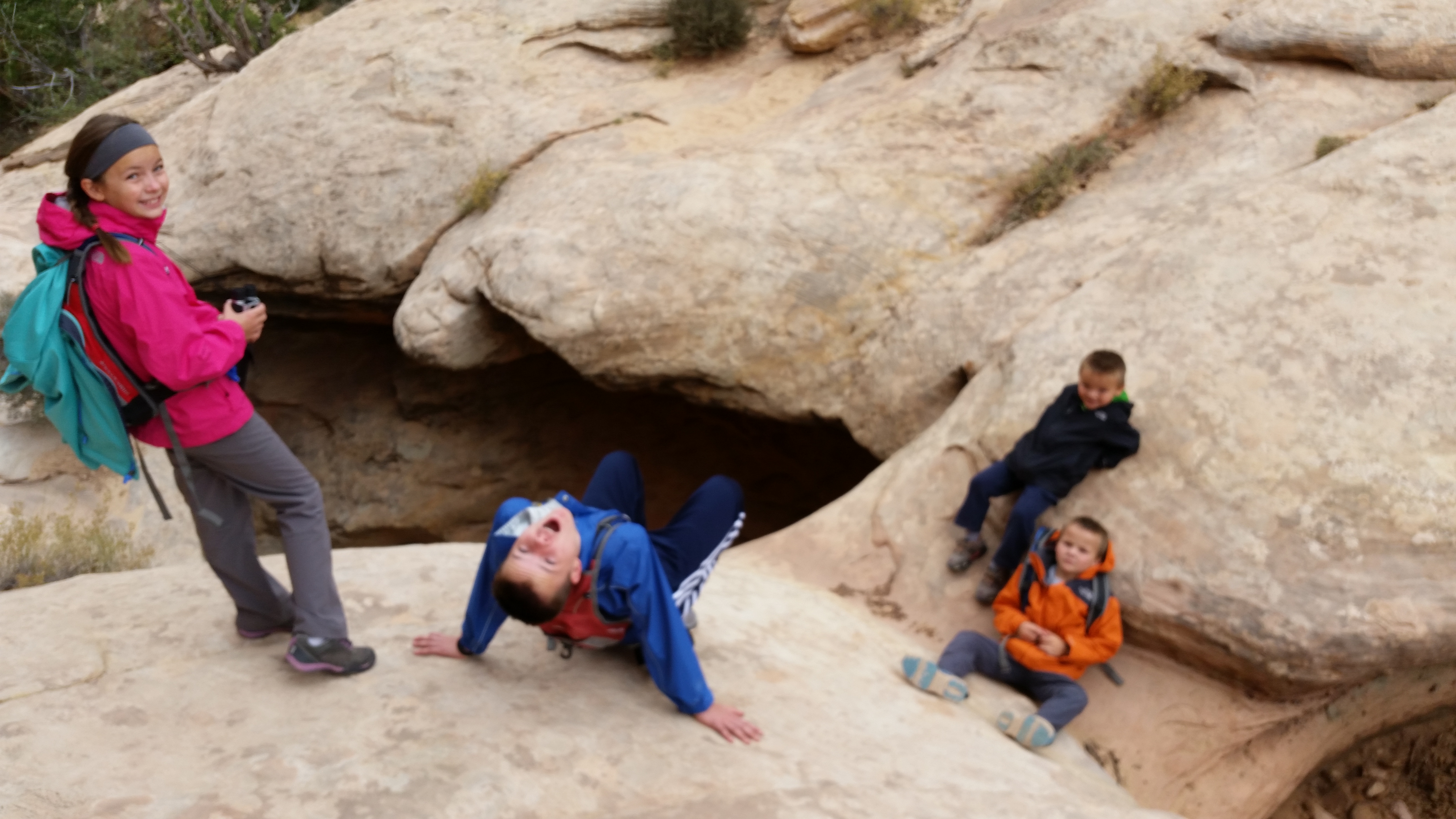 2015 Fall Break - Day 3 - Capitol Reef National Park (Gifford House Pies, Hickman Bridge Arch, Snakes Alive!, Picking Apples in the Fruita Pioneer Orchards, Goosenecks Overlook, Panorama Point), Eating Rattlesnakes at Cafe Diablo (Torrey, Utah)