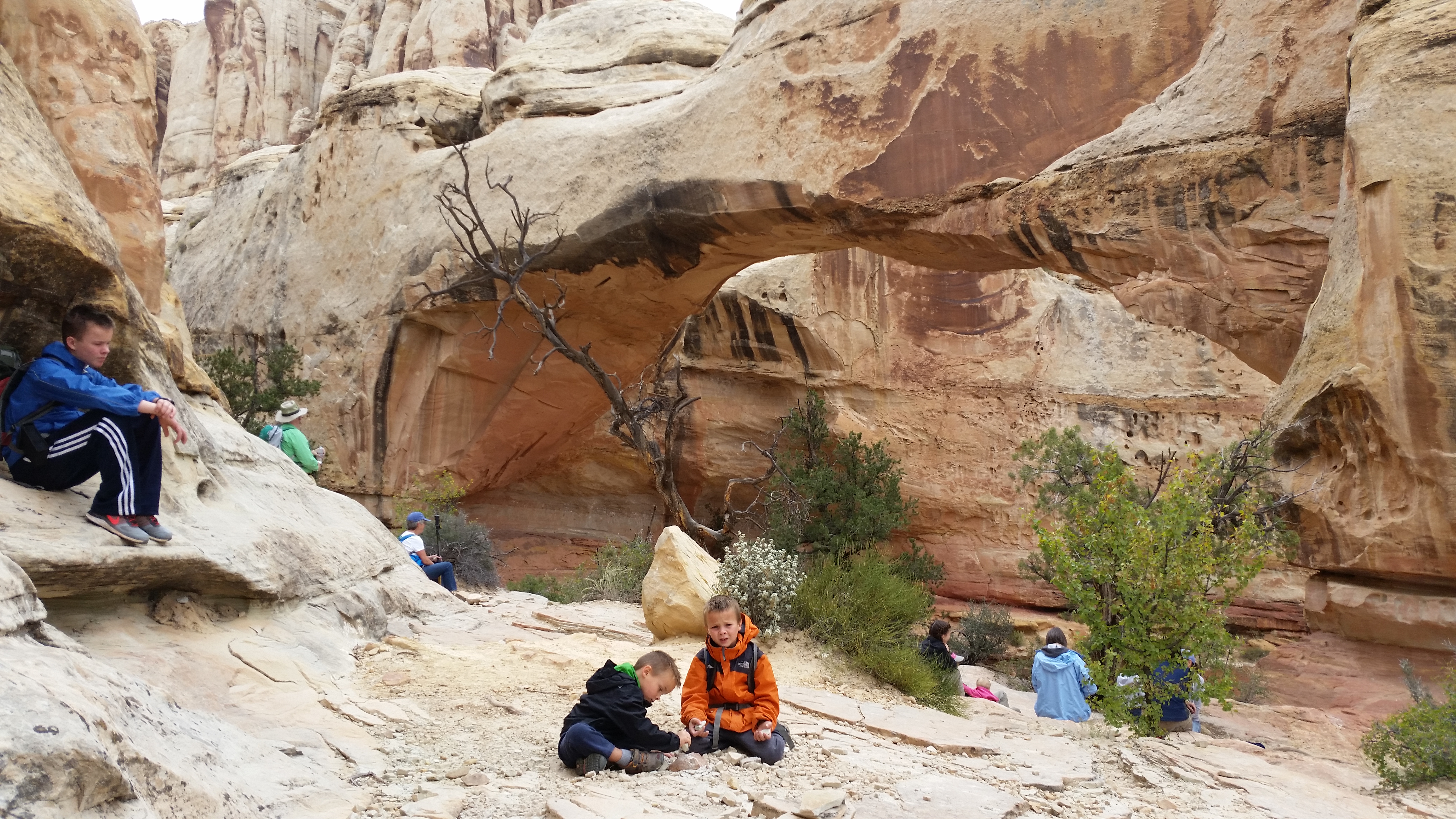 2015 Fall Break - Day 3 - Capitol Reef National Park (Gifford House Pies, Hickman Bridge Arch, Snakes Alive!, Picking Apples in the Fruita Pioneer Orchards, Goosenecks Overlook, Panorama Point), Eating Rattlesnakes at Cafe Diablo (Torrey, Utah)