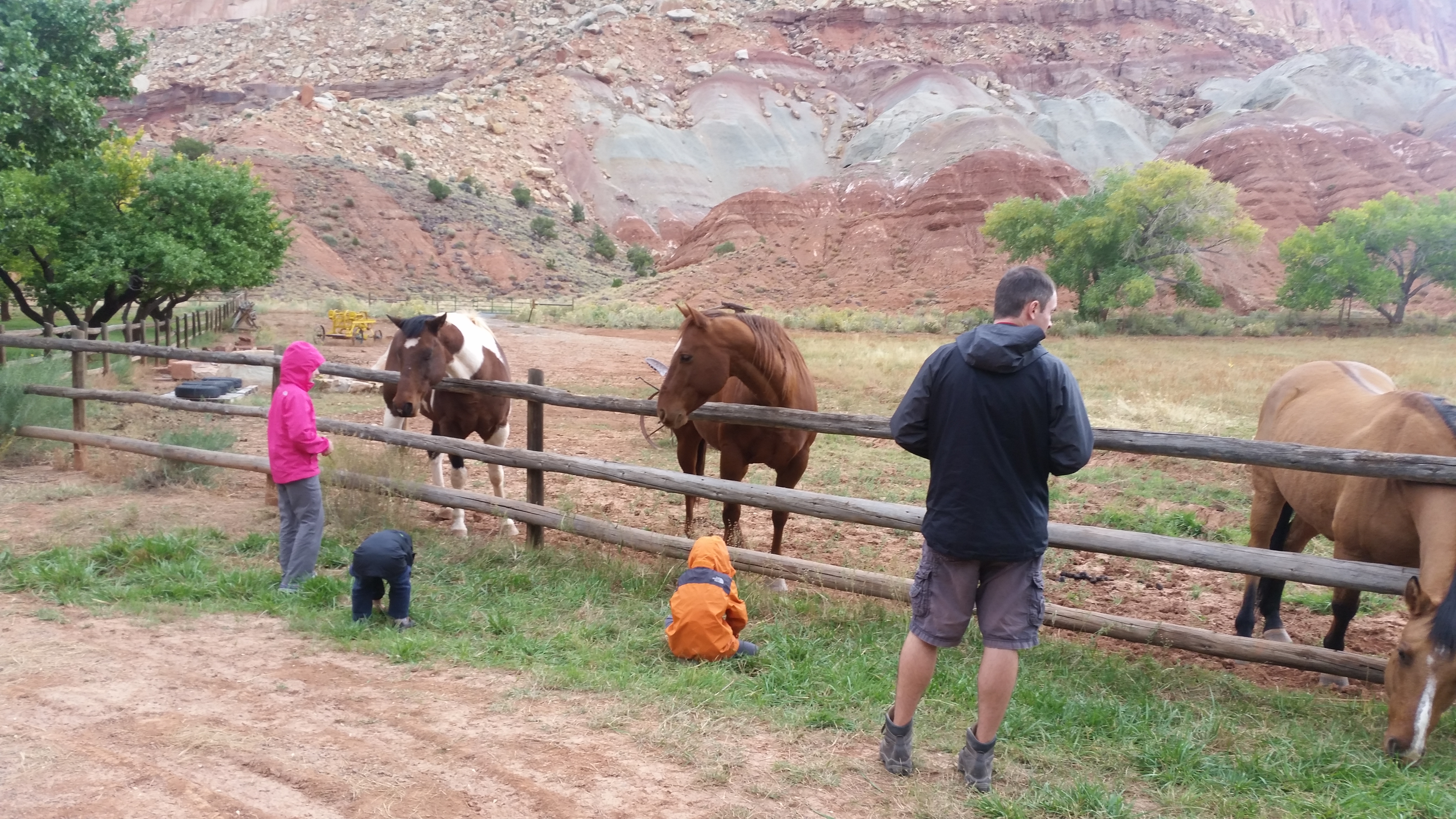 2015 Fall Break - Day 3 - Capitol Reef National Park (Gifford House Pies, Hickman Bridge Arch, Snakes Alive!, Picking Apples in the Fruita Pioneer Orchards, Goosenecks Overlook, Panorama Point), Eating Rattlesnakes at Cafe Diablo (Torrey, Utah)