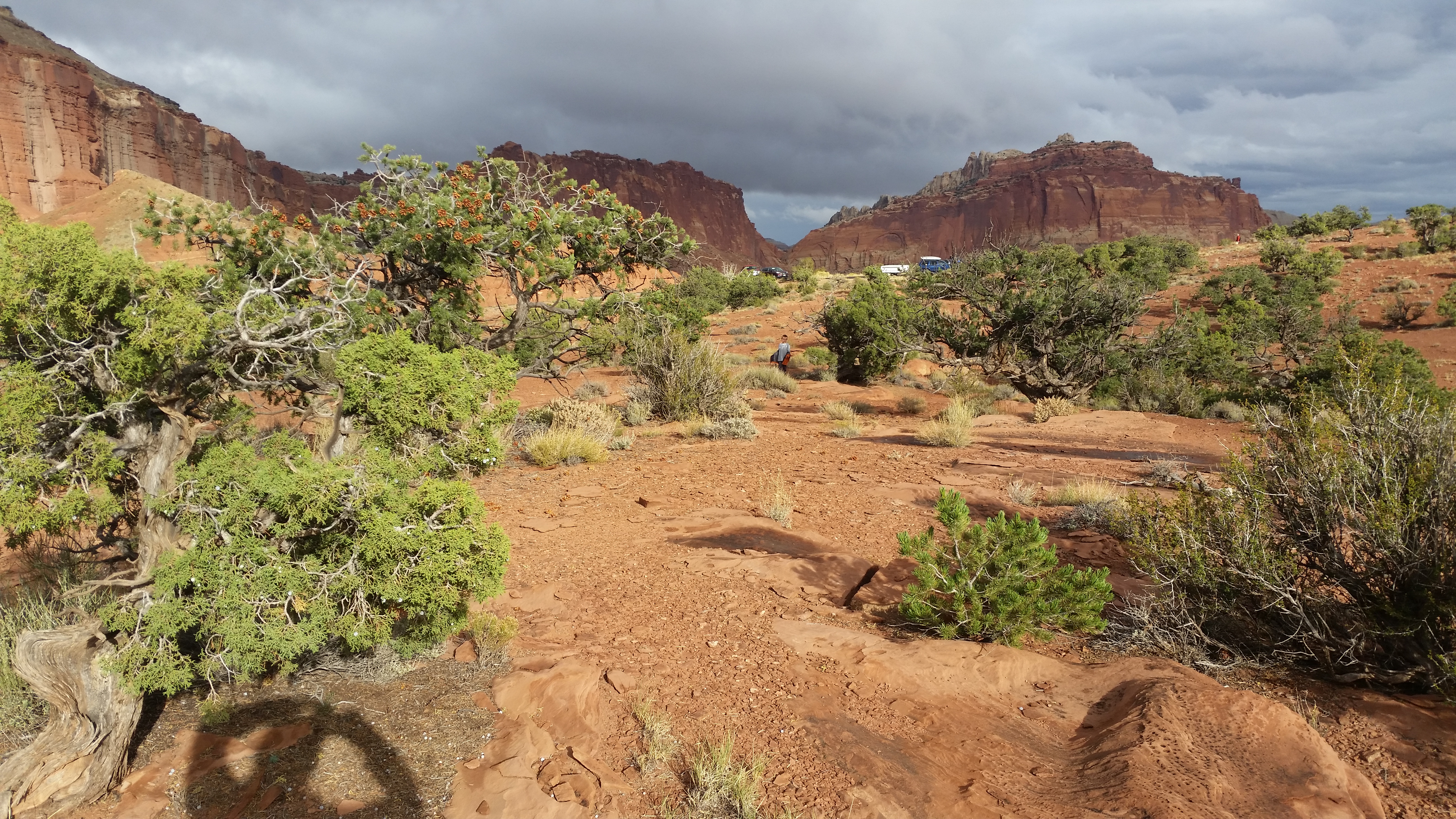 2015 Fall Break - Day 3 - Capitol Reef National Park (Gifford House Pies, Hickman Bridge Arch, Snakes Alive!, Picking Apples in the Fruita Pioneer Orchards, Goosenecks Overlook, Panorama Point), Eating Rattlesnakes at Cafe Diablo (Torrey, Utah)