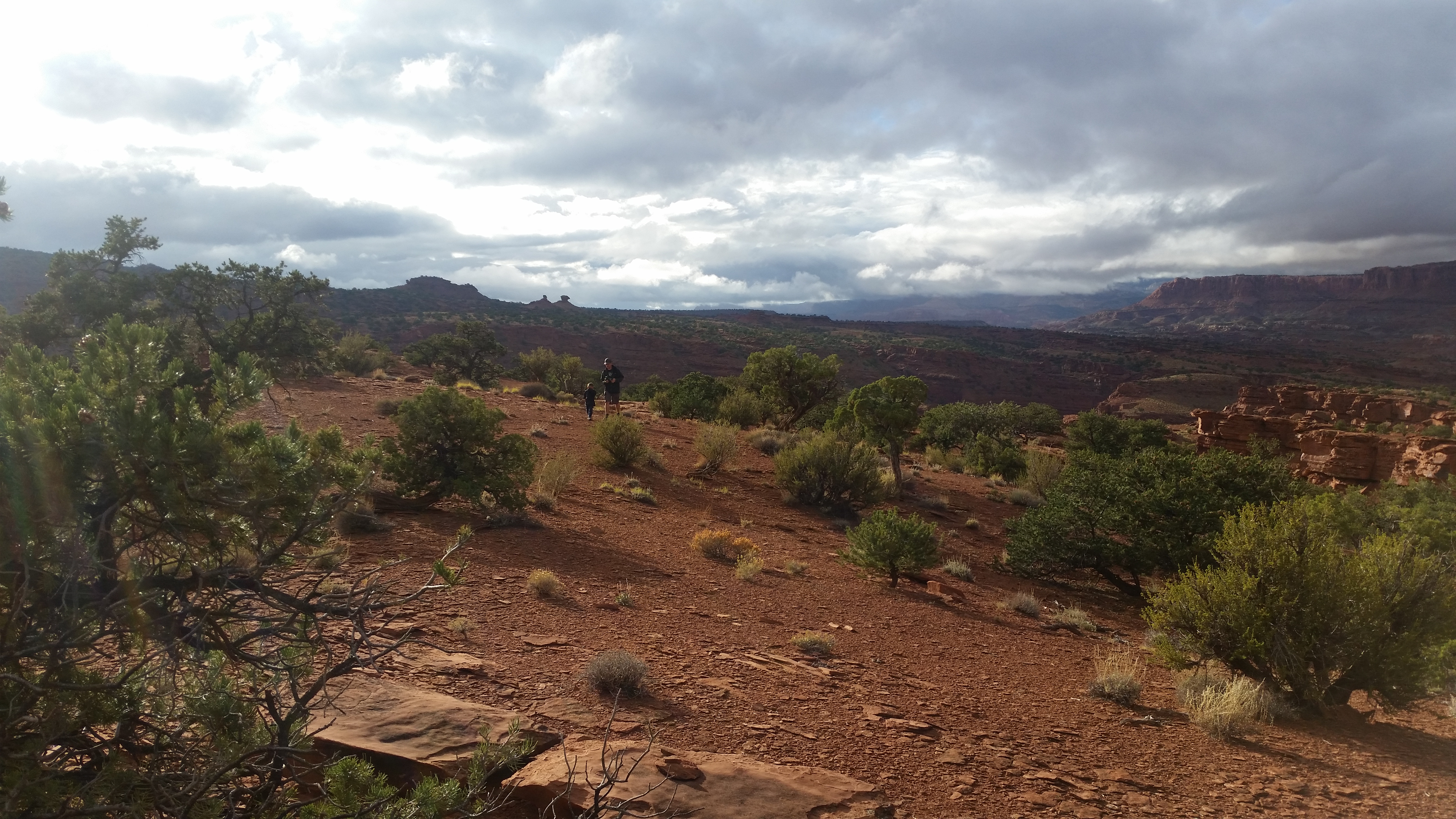 2015 Fall Break - Day 3 - Capitol Reef National Park (Gifford House Pies, Hickman Bridge Arch, Snakes Alive!, Picking Apples in the Fruita Pioneer Orchards, Goosenecks Overlook, Panorama Point), Eating Rattlesnakes at Cafe Diablo (Torrey, Utah)